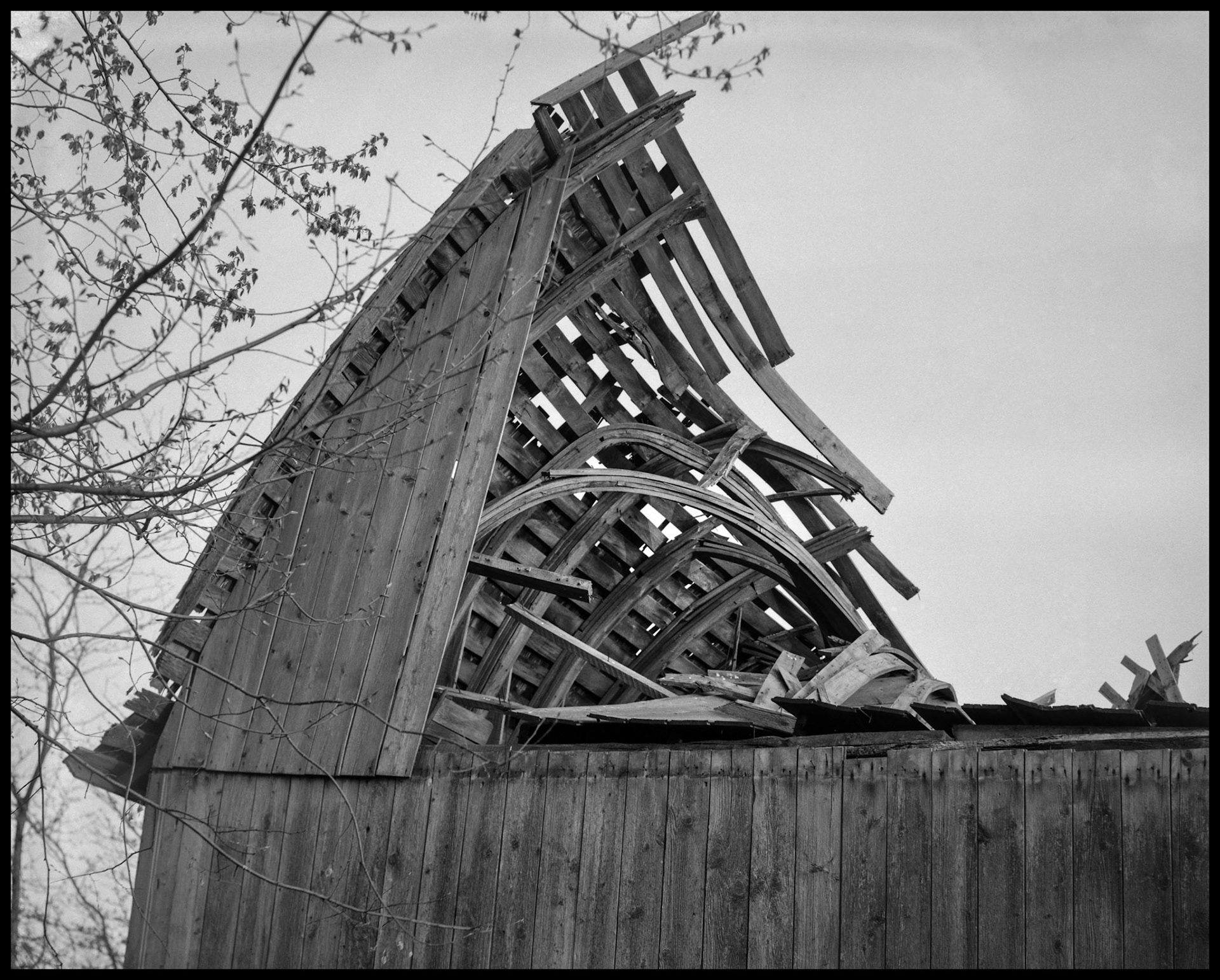 A vintage black and white view of the remains of the collapsed roof of a barn whose supports have continued to warp after years of being exposed to the elements. Near Greentop, Missouri 1984