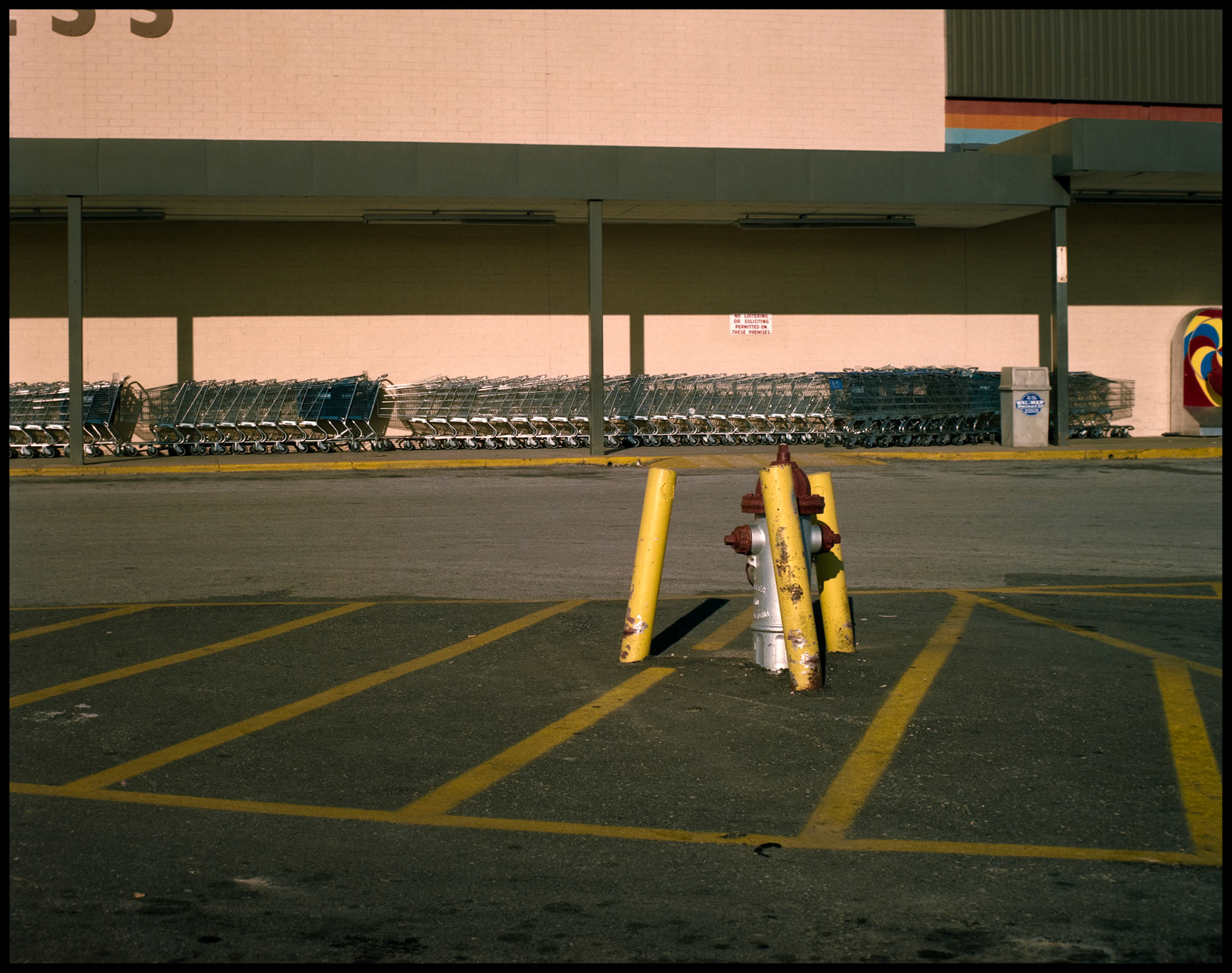 Detail of a fire hydrant protected by yellow safety bollards, a row of shopping carts, and yellow safety lines in a parking lot of a Walmart in Columbia, Missouri in 1988