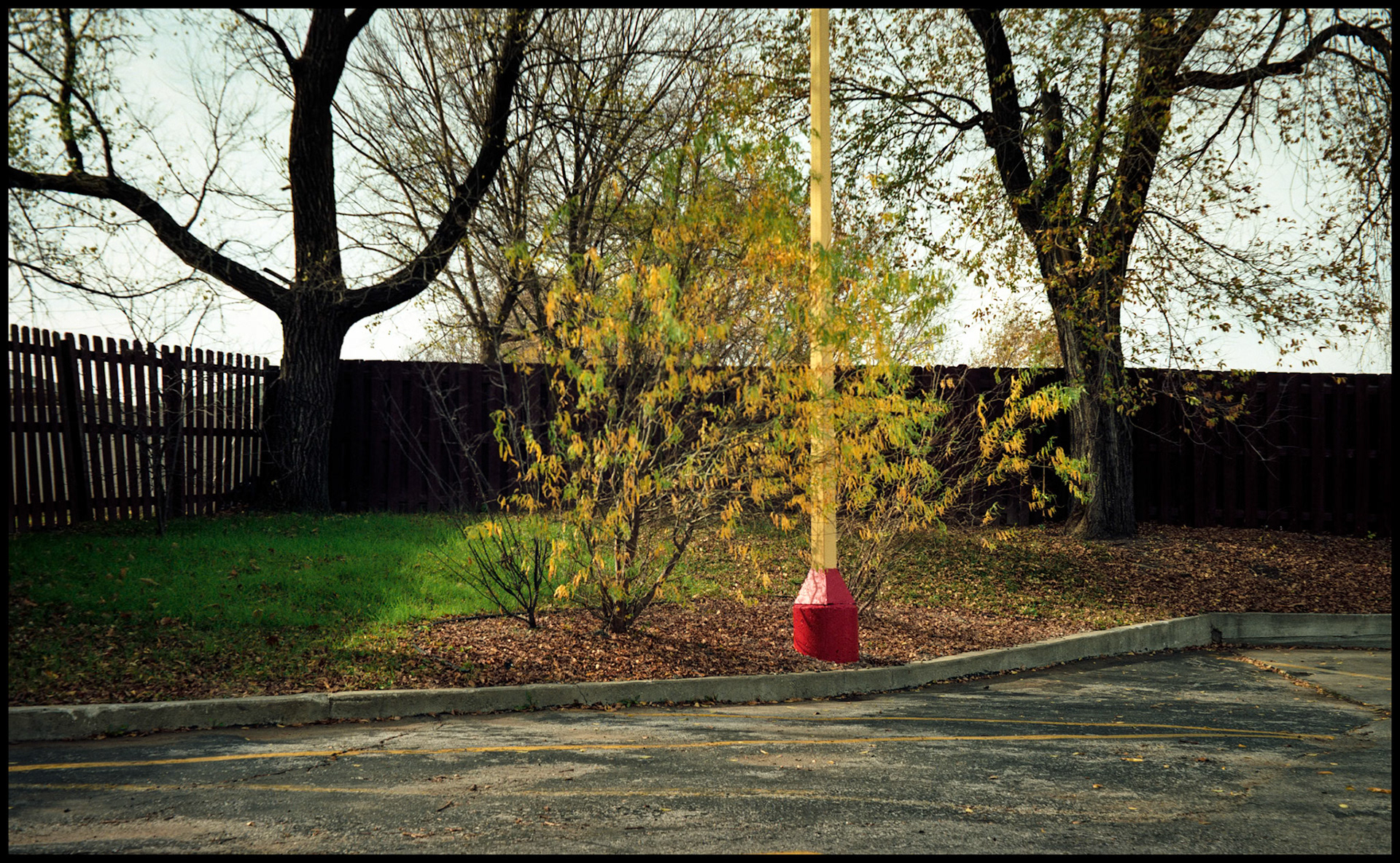 Light Pole, Fence, and silhouetted trees at the edge of a Wendys parking lot in Columbia, Missouri in 1989