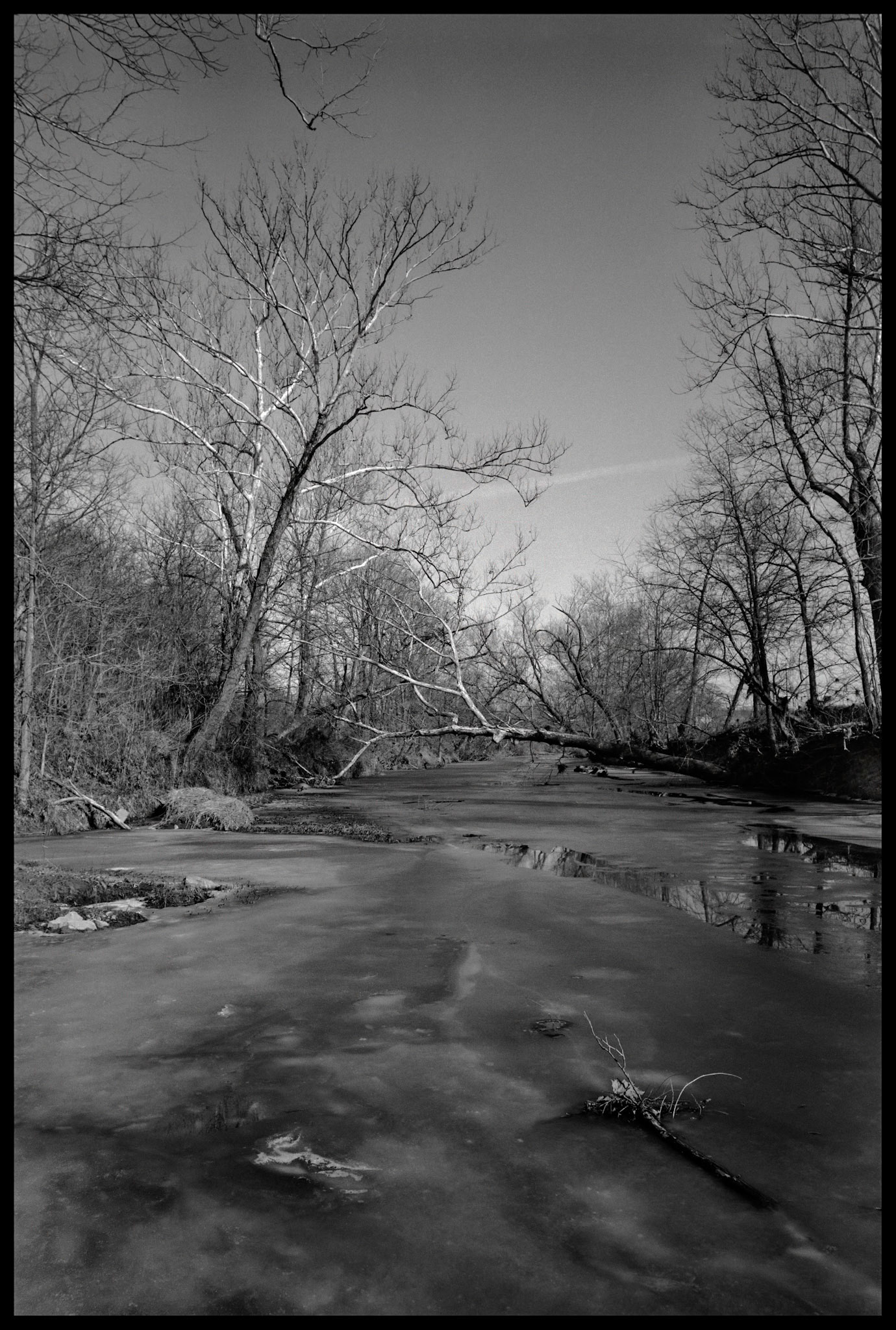 A black and white image of a melting frozen stream surrounded by leafless trees and one partially fallen tree leaning out over the ice. Howard County, Missouri, 1993.
