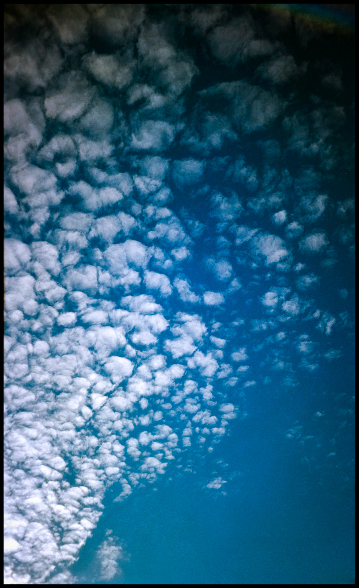 Upward view of the sky dotted with a large group of little round clouds that resemble cotton balls with a deep blue sky in the background.