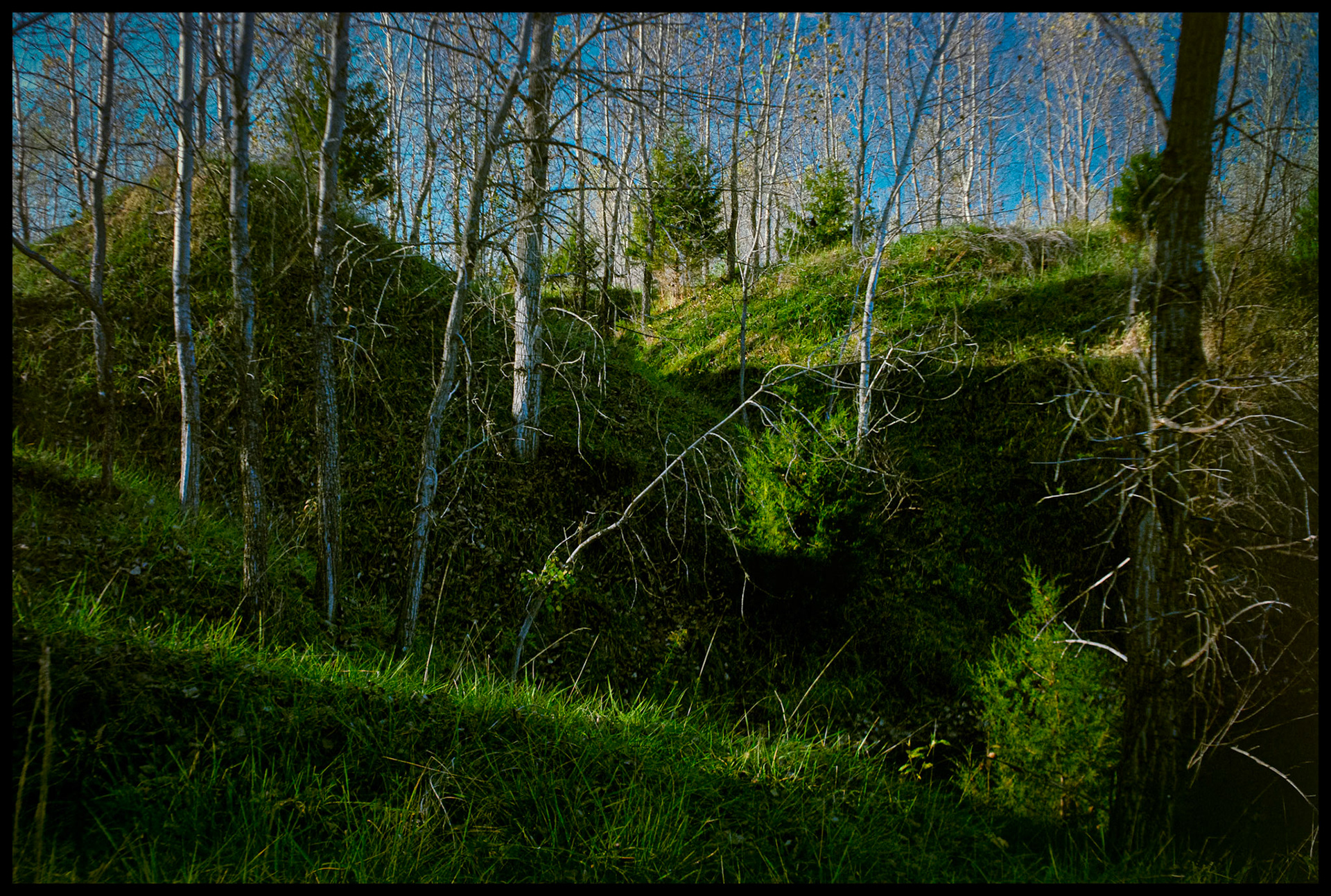 Springtime green grass and trees, some still bare from winter, on a hillside at an old coal strip mine being reclaimed by nature. Near Columbia, Missouri, 1989.
