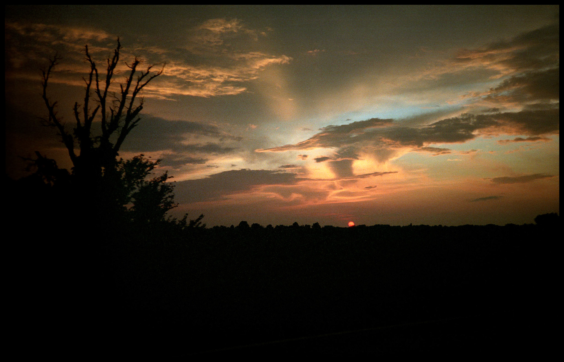 Sunset with the sun slipping over the horizon and beam of light highlighting red and orange clouds and the silouhette of tree in the left foreground. Near Greencastle, Missouri. 1991
