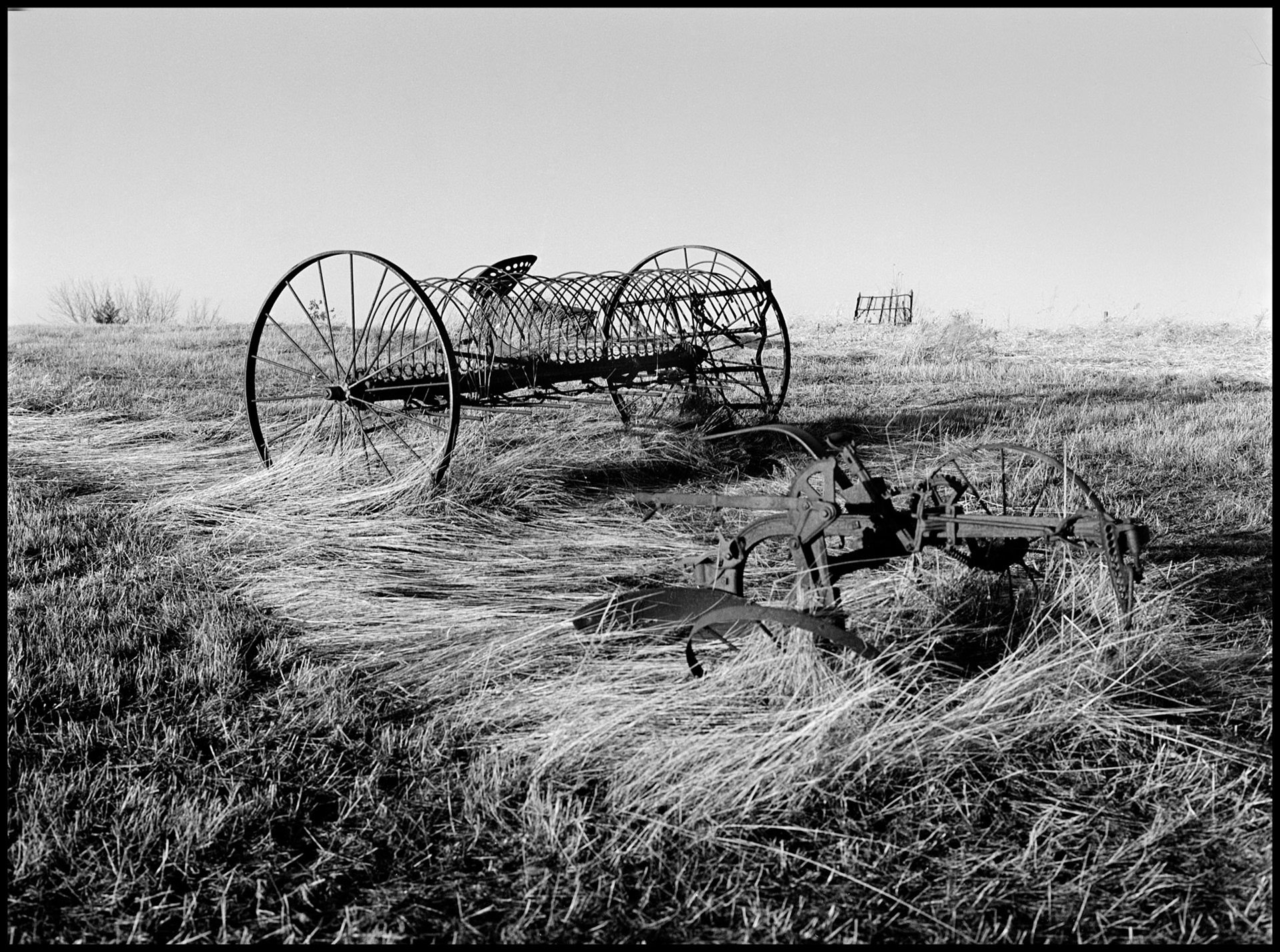 A sepia toned black and white image of an antique horse drawn Sulky type hay rake sitting in a field of fallen tall grass. Near Kirksville, Missouri USA, 1979
