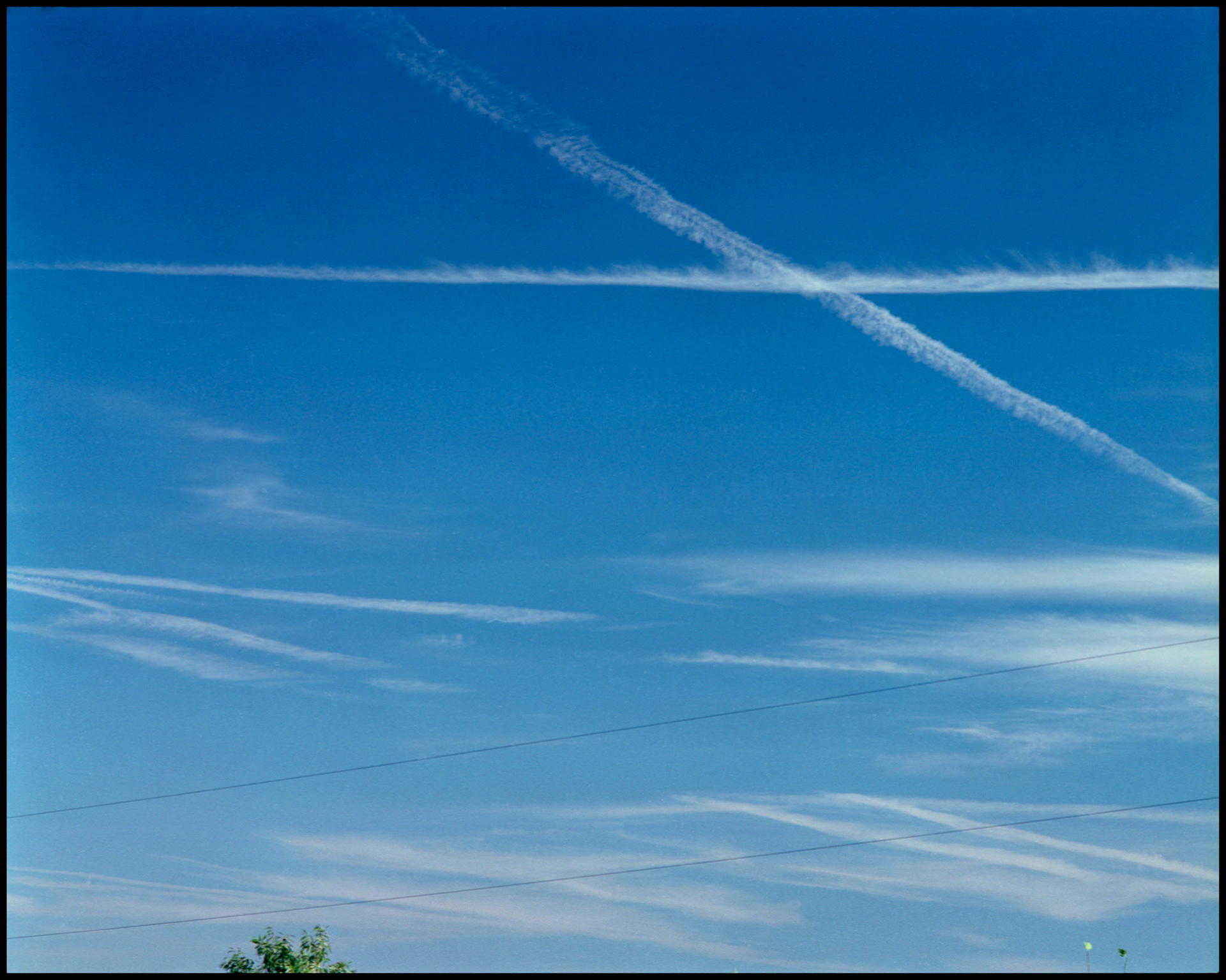 Two jet vapor trails intersect creating an "X" shape in a blue sky laced with similar looking Cirrus clouds with imitating lines formed by power lines and a treetop peeking in from the bottom.