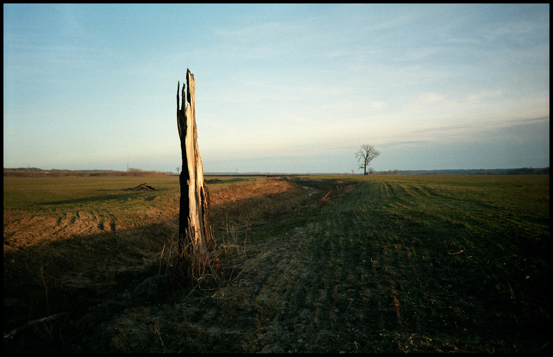 A partially burned dead tree lined up with a live one in a waterway in the Missouri River bottoms near Wooldridge Missouri just a few months before cataclysmic 1993 floods.