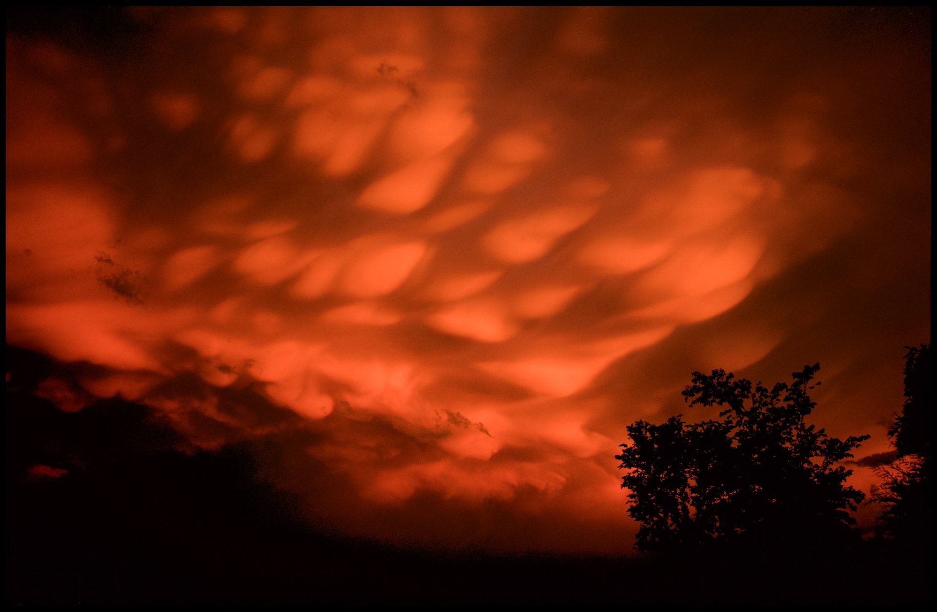Turbulent rolling  Mammatus clouds of an approaching storm front colorfully lit bright orange by the sunset as they begin to rotate with silhouetted trees in the foreground. My front yard near Renick, Missouri, 1996.