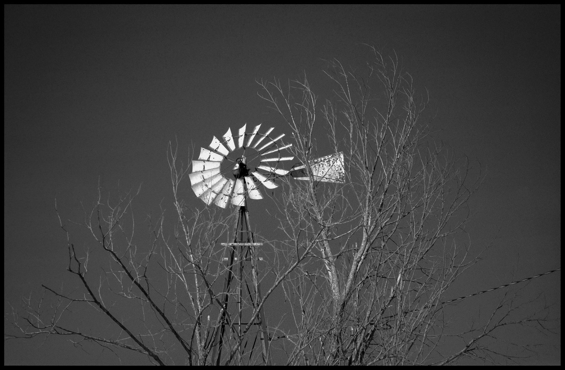 A vintage winter black and white shot of a rustic overgrown windmill in rural Missouri. Near Cherry Box, Missouri 1999