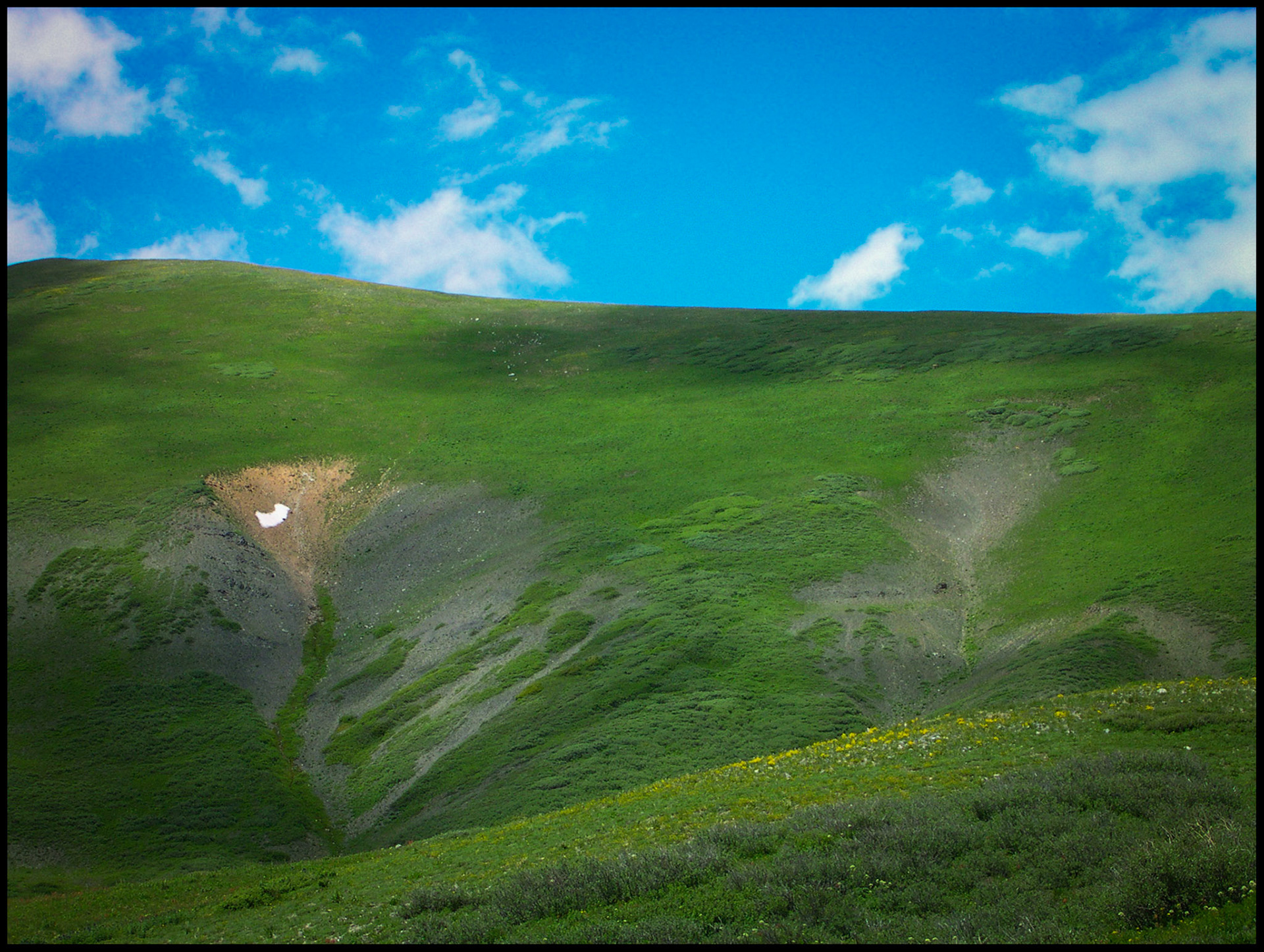 A lush green mountain ridge with one last small patch of snow remaining and a cloud shadow shading part of the crest with a bright blue sky filled with whispy louds and wildflowers providing more color to the scene. Reno Divide near Crested Butte, Colorado 2004.