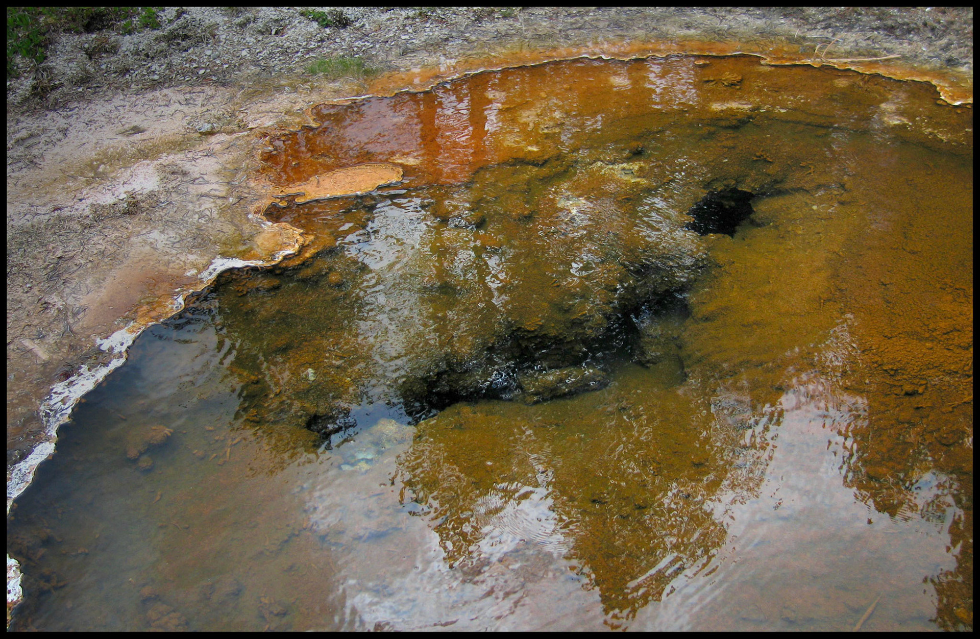 An abstract minimal detail view of the colorful algae, microbial mat, and coral like formations at the edge of of Black Pool at West Thumb Geyser Basin in Yellowstone National Park, Wyoming, USA, 2005