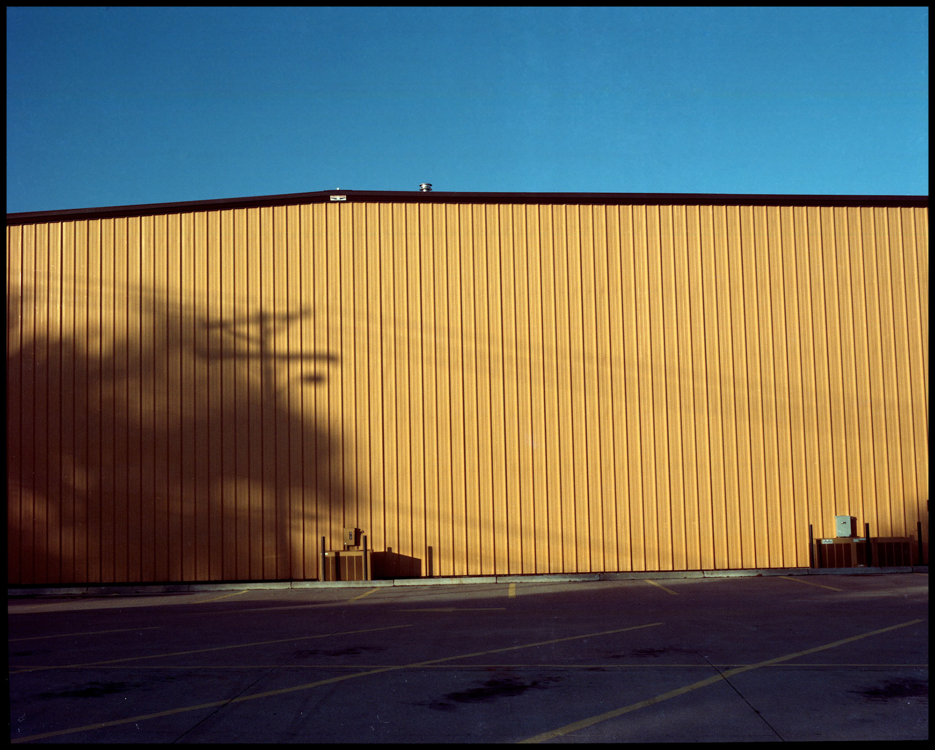 The shadow of a utility pole, lines, and tree on the yellow wall of a commercial building. Columbia, Missouri 1988