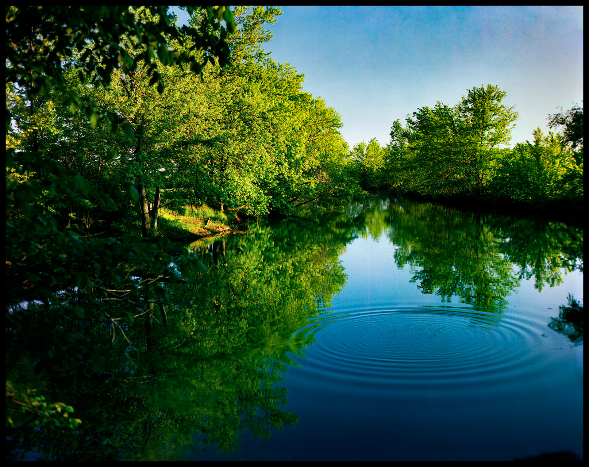 An idyllic tranquil scene of the reflection of brilliant green trees and a deep blue sky in a slow moving river with a perfectly smooth surface except for concentric circular waves created by something falling in the water. Near Green Grove Missouri 1984