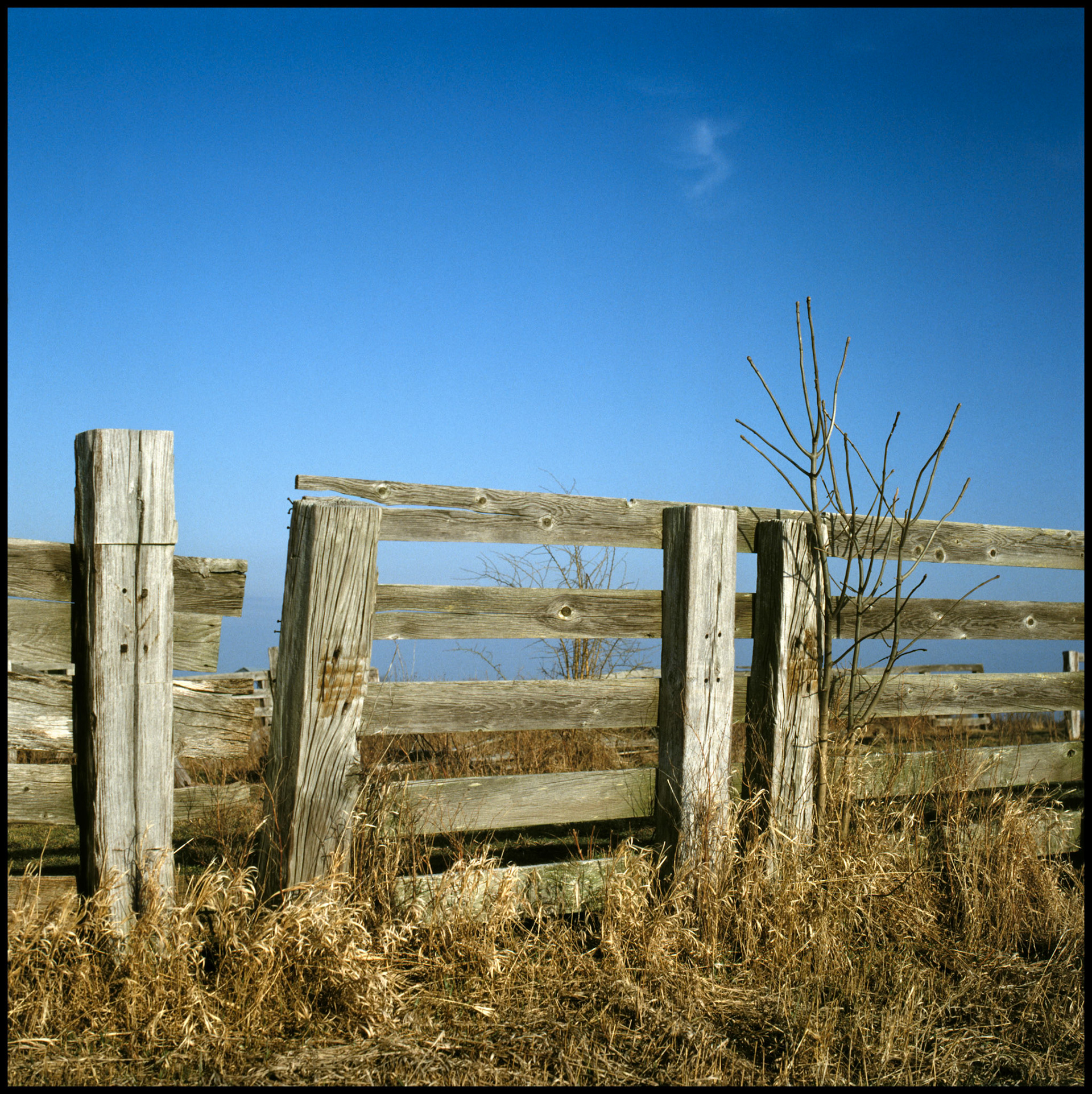 A weathered wooden fence corner gate in the warm afternoon winter light in front of a rich blue gradated blue sky with one little wisp of a cirrus cloud and golden winter grass in the foreground. Near Greencastle, Missouri USA 1984.