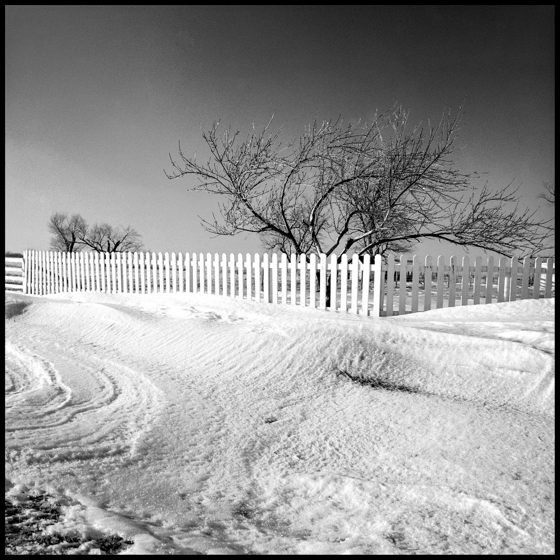 Wind blown snow drifts against a picket fence partially obscuring an ice covered leafless tree.  Near Pure Air, Missouri 1982