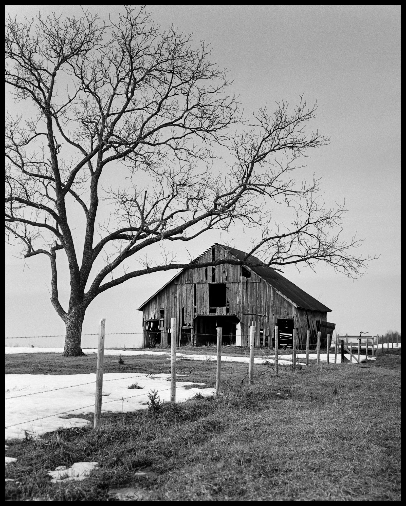 A vintage black and white photograph of a dilapidated wooden barn framed by a solitary silouhetted leafless tree and a  barbed wire fencerow on a cold winter's day surrounded by patches of snow. Near Pure Air, Missouri at the intersection of Highways BB and 149. 1978