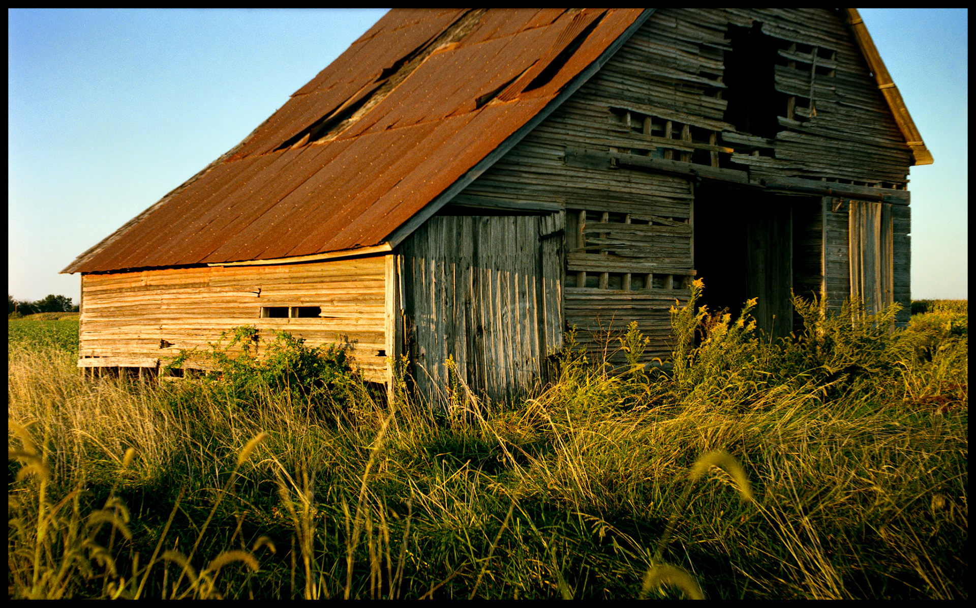 A weathered barn, seemingly at the sunset of its existence, surrounded by windswept tall grass at the edge of a field, bathed by the warm light of the setting summer sun. Mid Missouri, 1989.
