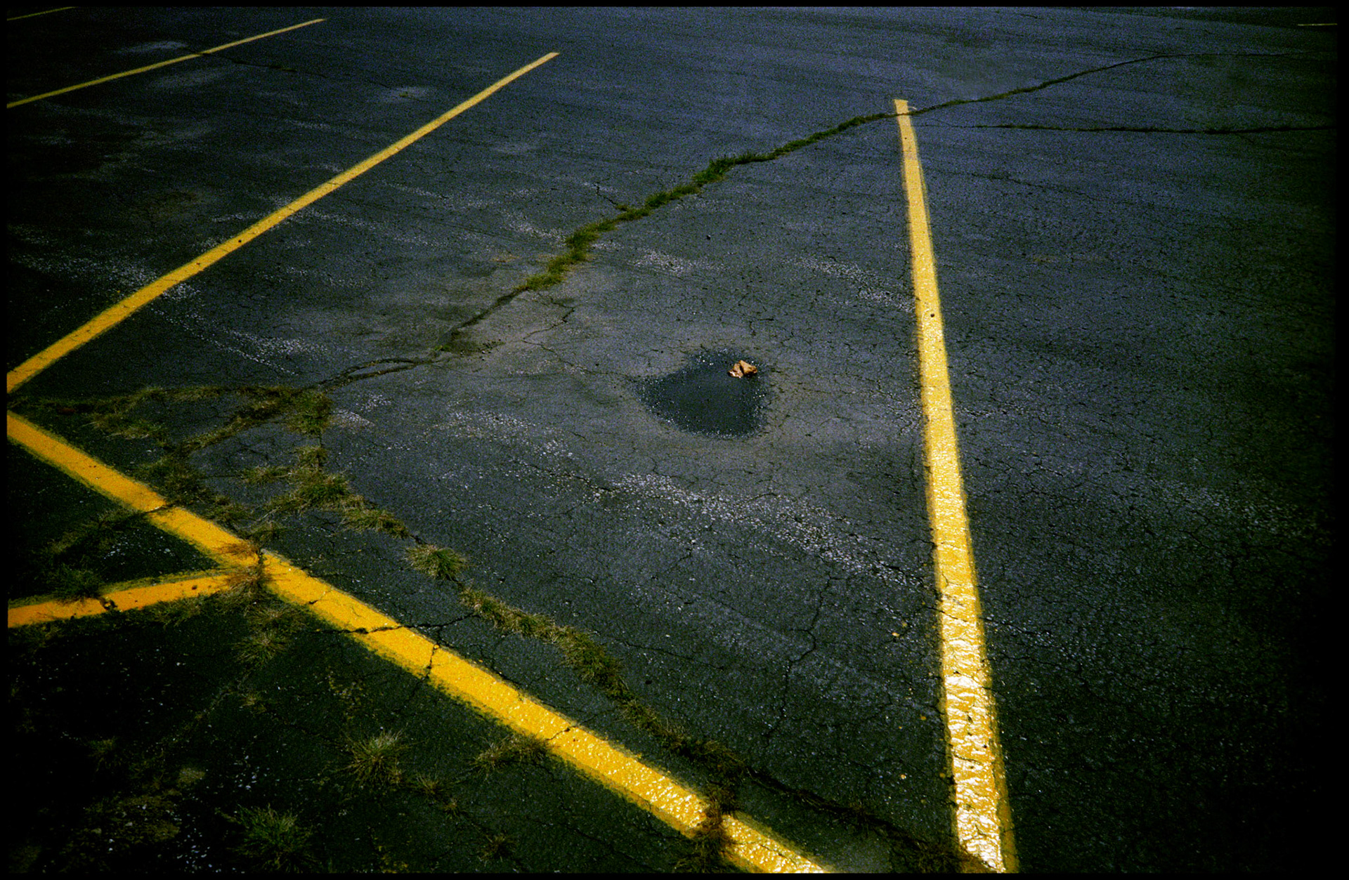 A minimal abstract detail of bright yellow diagonal lines in a black asphalt parking lot making an interesting design with the focal point being a leaf in a water puddle. Centralia, Missouri 1994