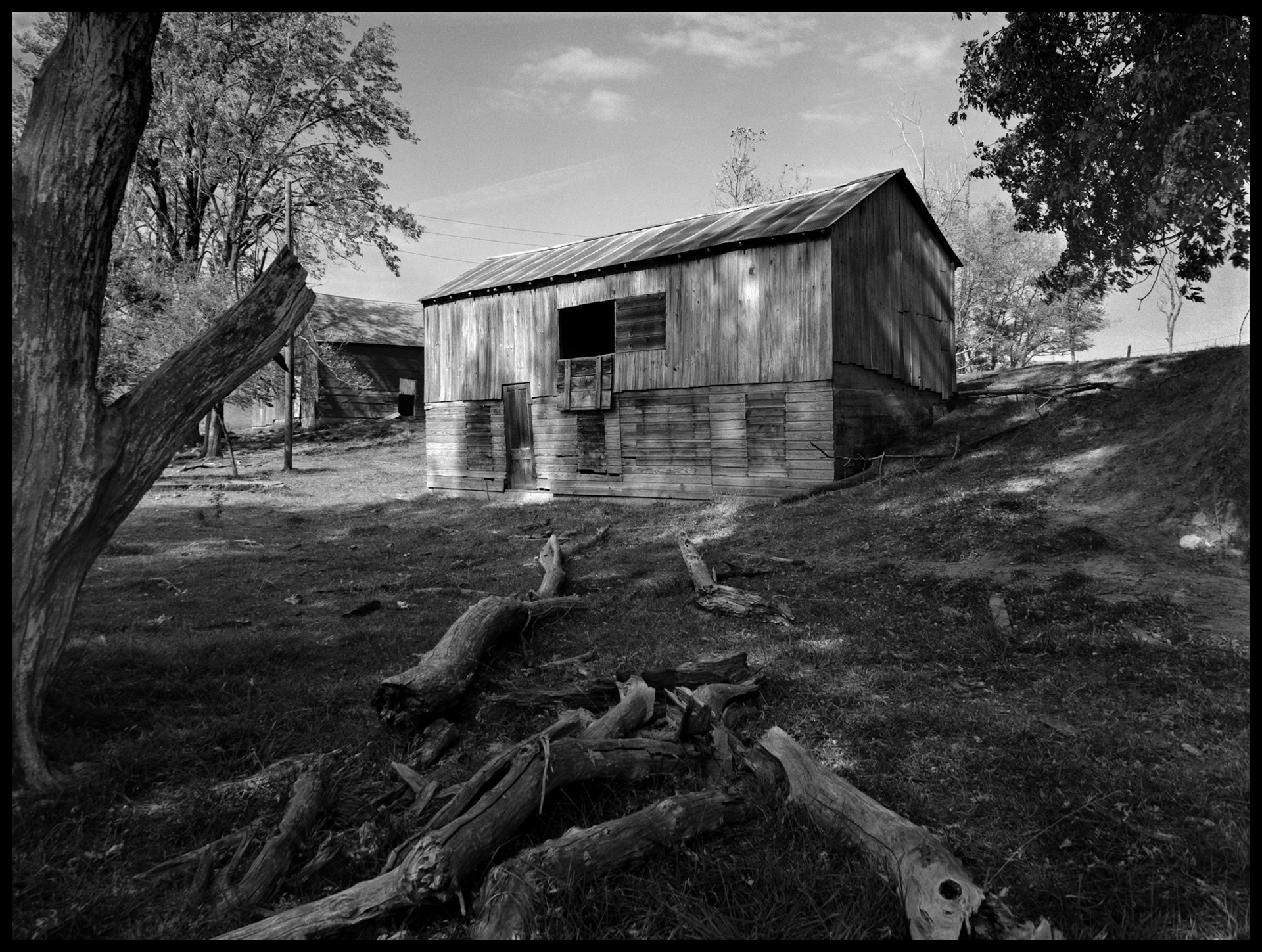 An abandoned barn built into a hillside with pieces of a fallen tree in front. Near Pennville, Missouri, 1979