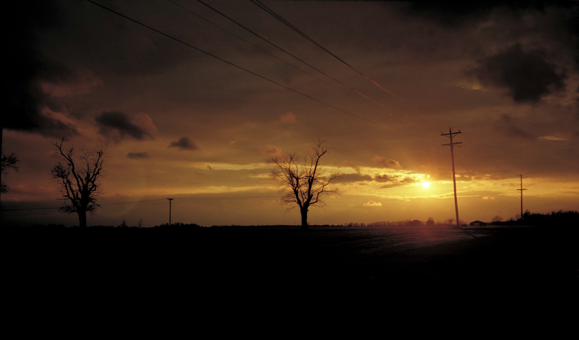 The sun emerging from behind a cluoud after a storm producing a golden sunset upon which a power line, power poles, and two leafless trees are silhouetted Mid-Missouri.