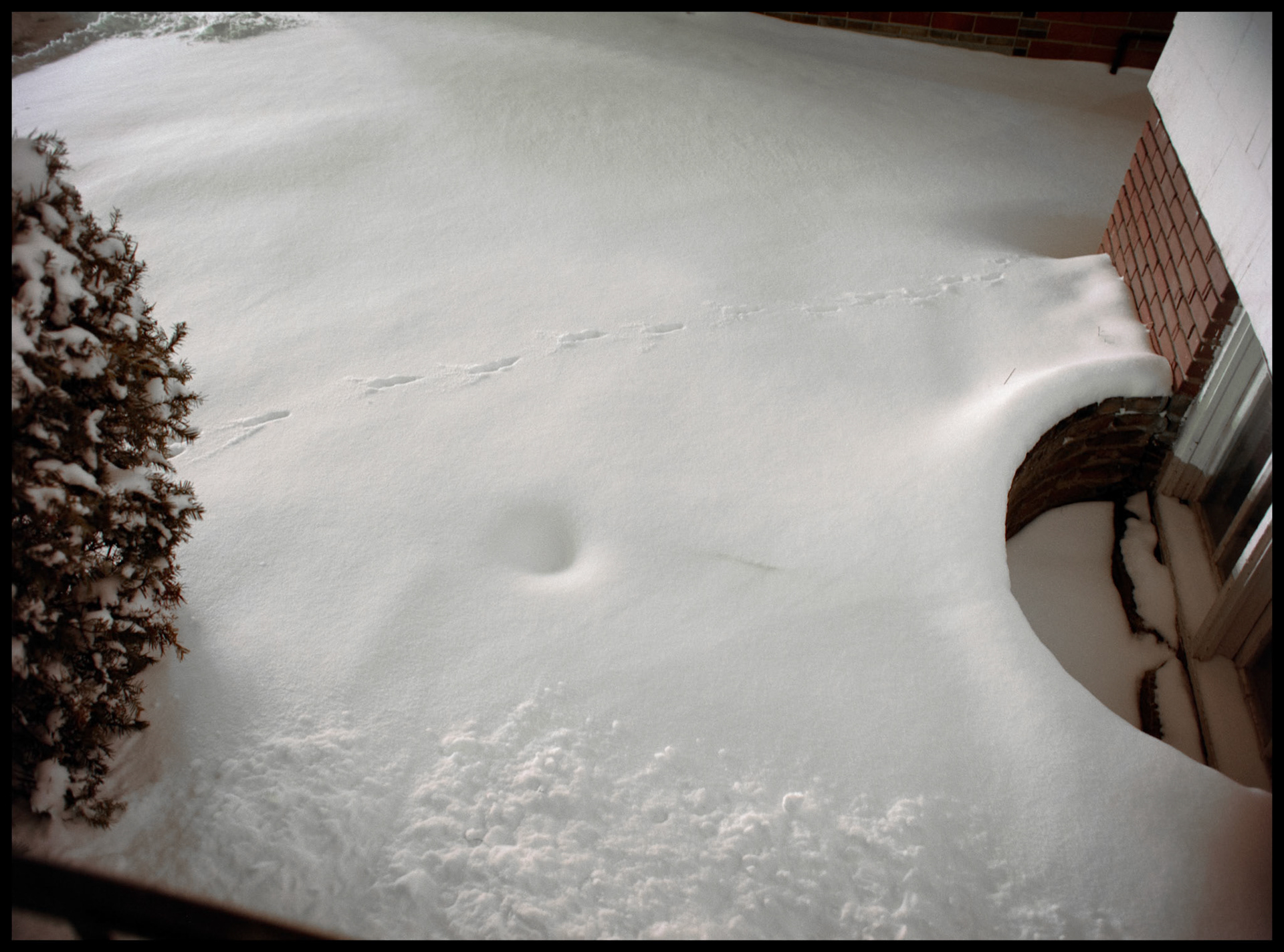A minimal abstract detail of fresh tracks in a night time snow next to a house basement window and bush. Illinois Street house, Kirksville, Missouri 1984