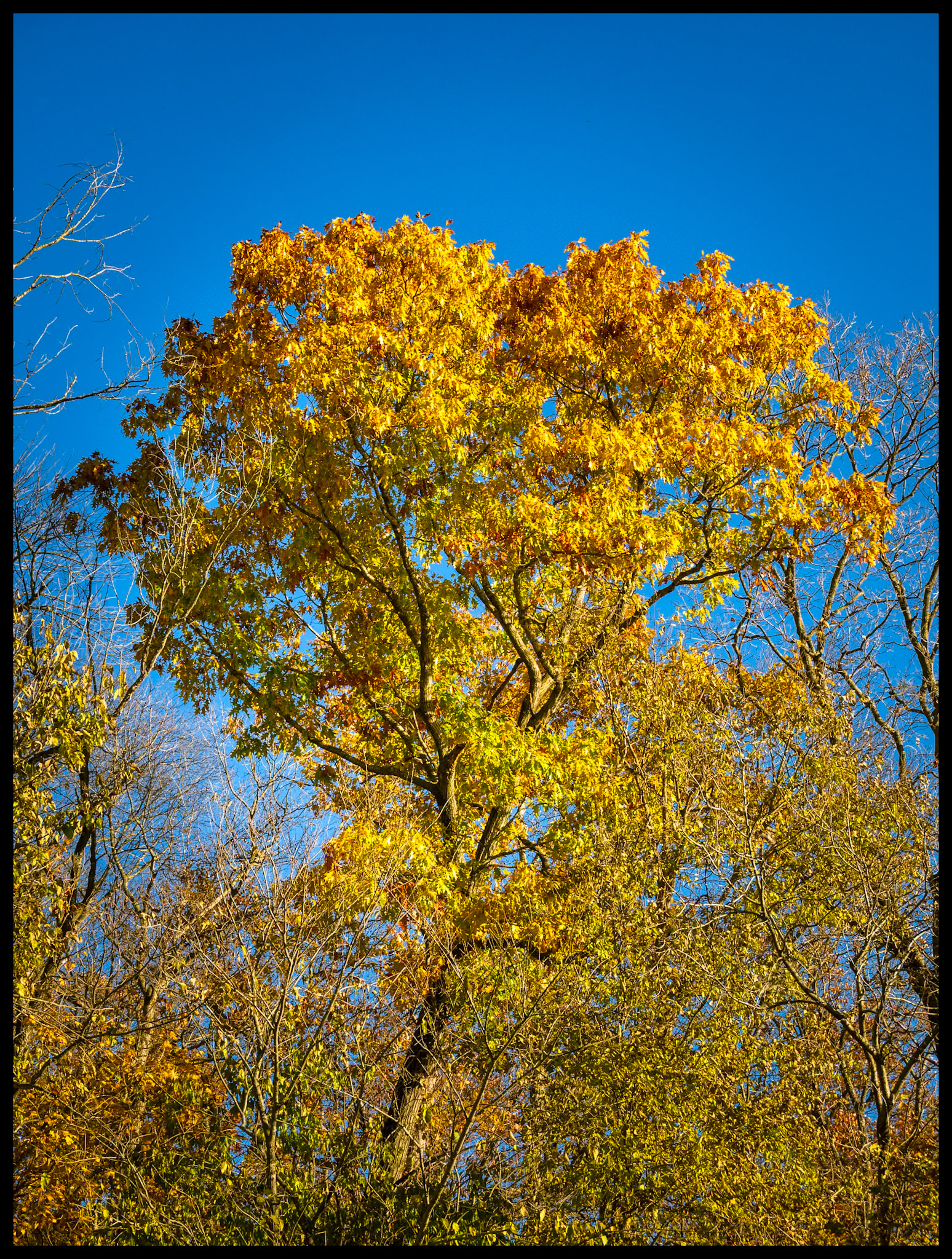 Seasonal Change 09, 2025