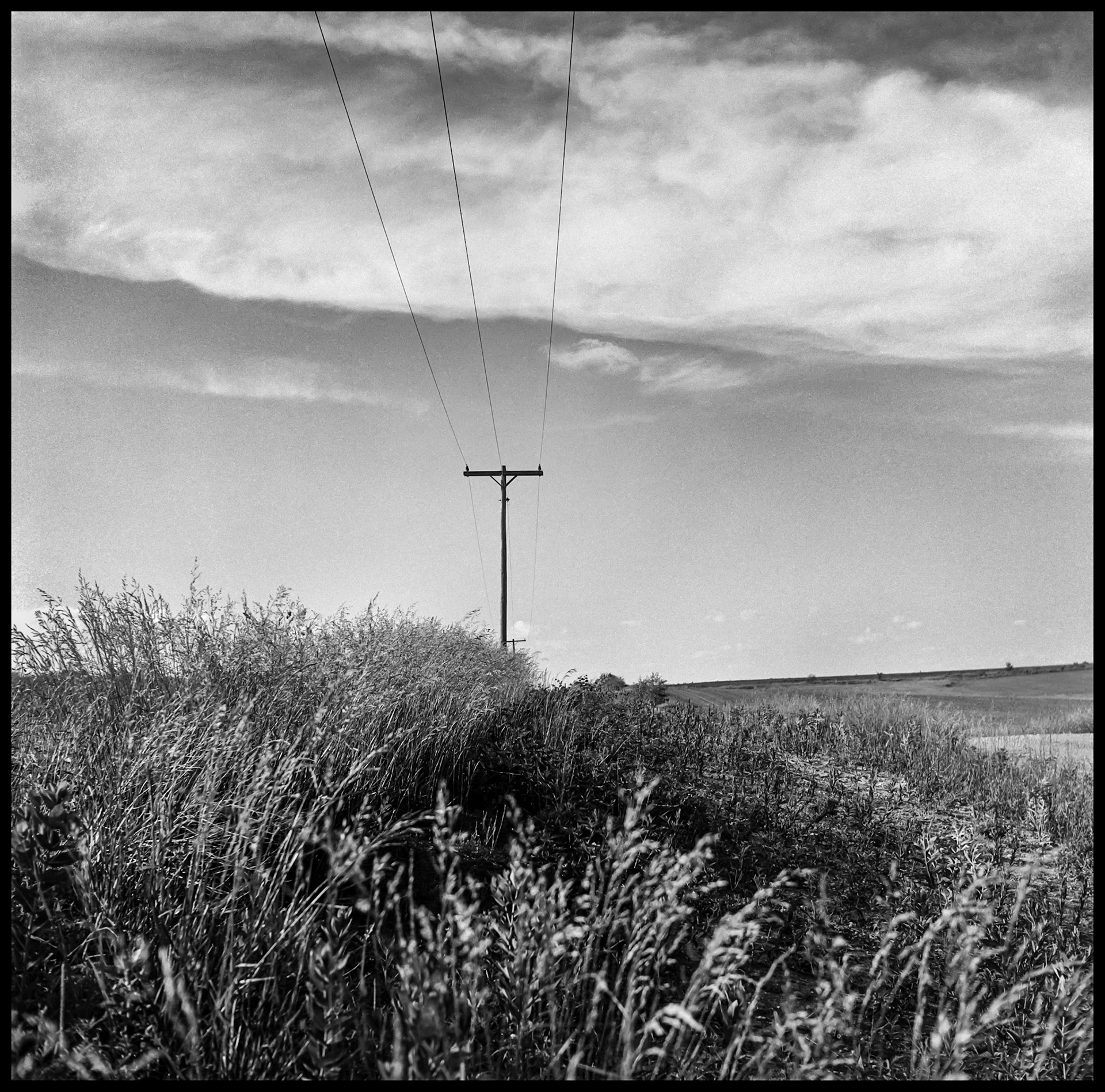 A vintage black and white photograph of a rural electricity pole and lines next to a gravel road on a mid-summer afternoon. Near Kirksville, Missouri 1978