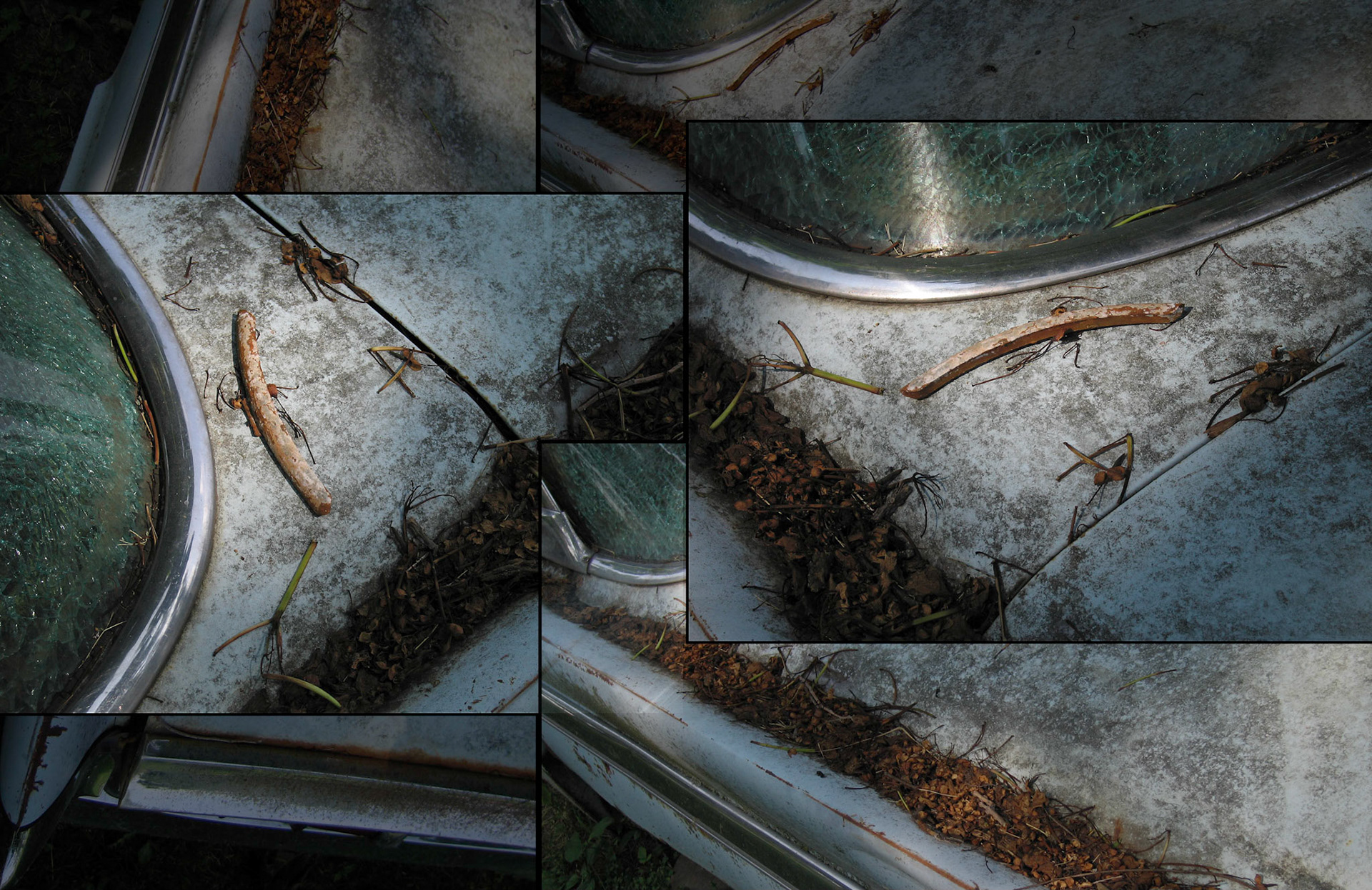 Photo composition of several detail images of a wheel weight, mold, pine needles, twigs and leaves resting upon a decaying 1960 Lincoln automobile arranged to make an interesting design. Green City, Missouri, USA, 2005.