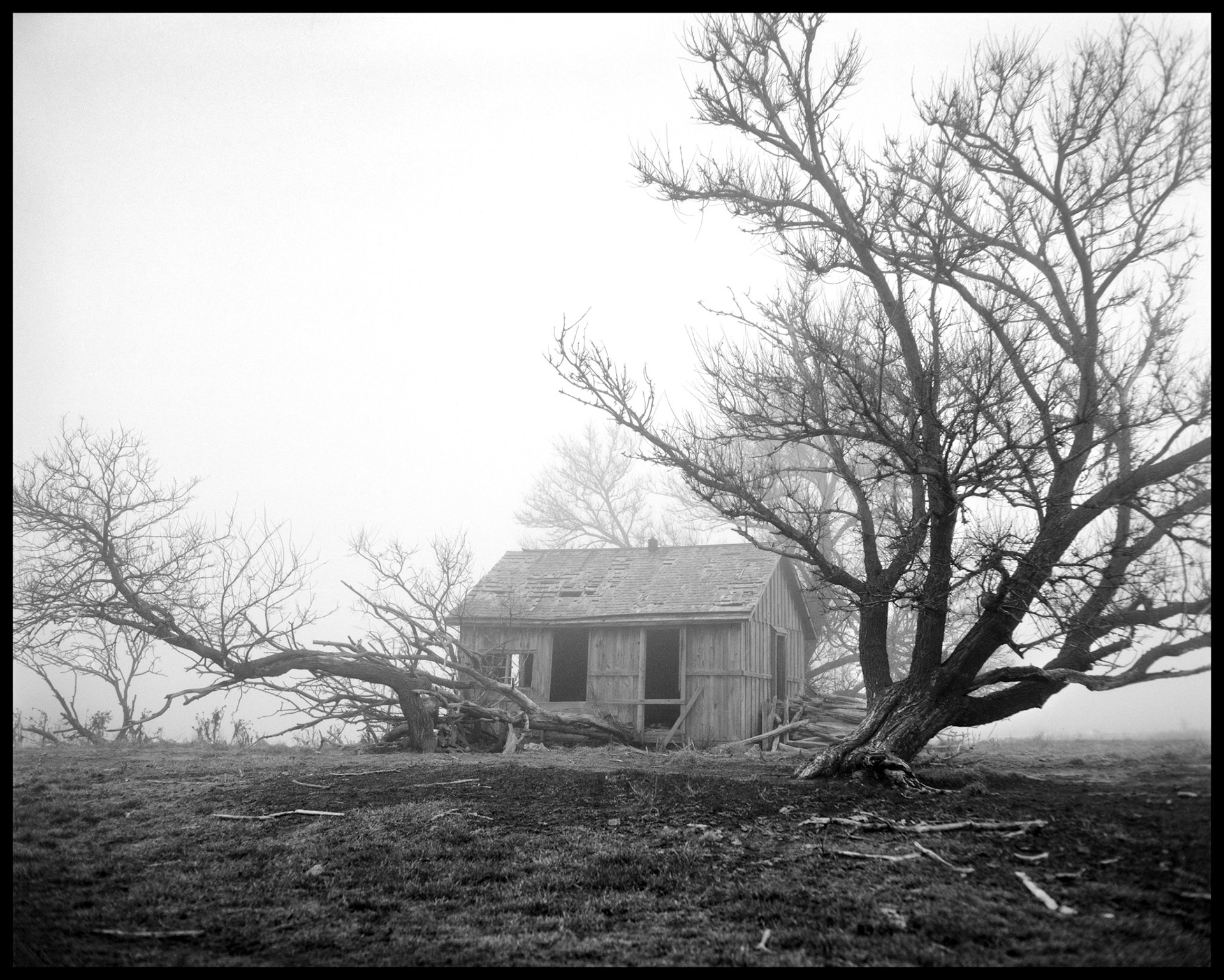 A rustic scene in black and white of an old cabin converted into a farm building in the fog with bowed and fallen trees framing it. Near New Boston, Missouri on Highway JJ. 1980