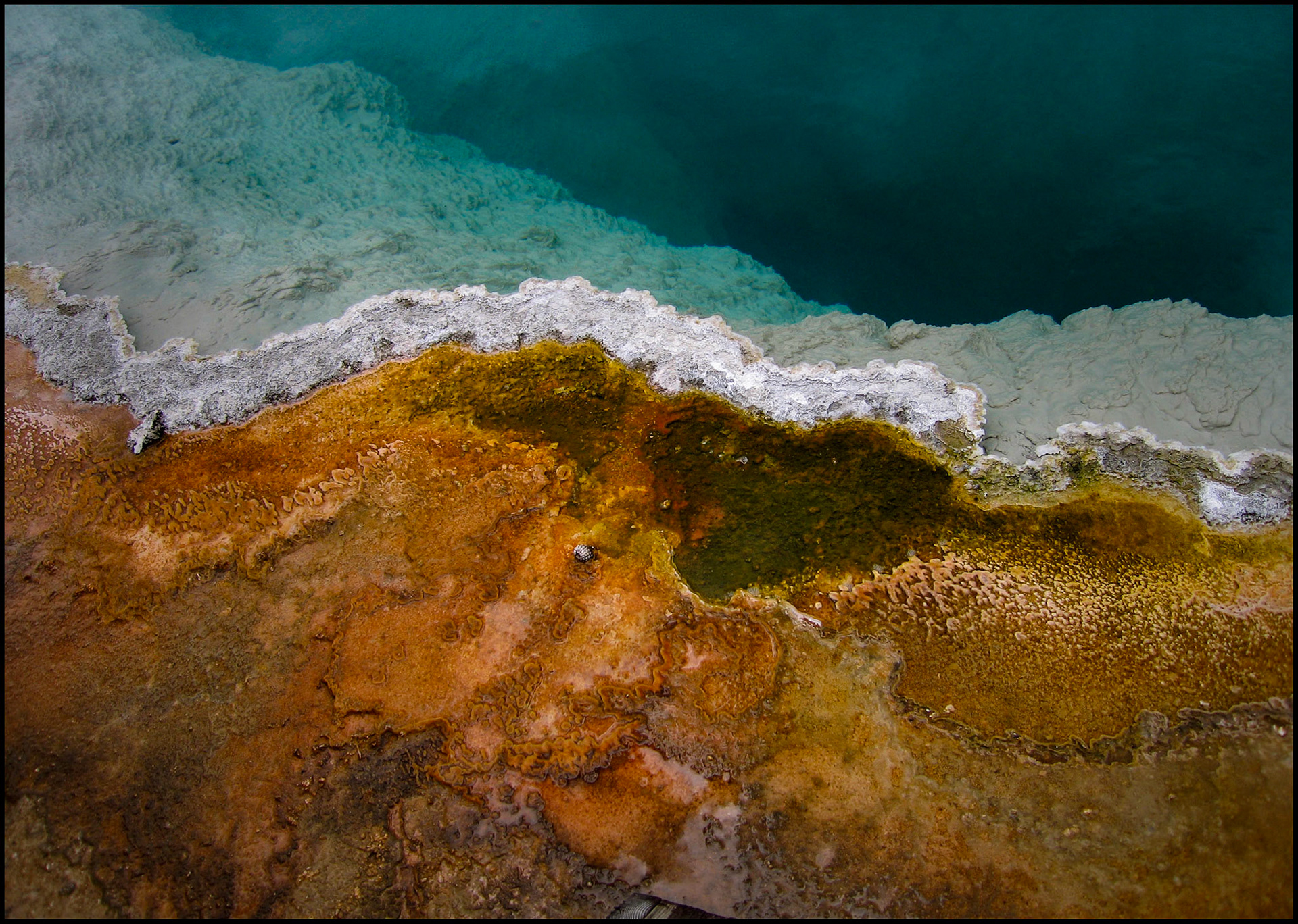 An abstract minimal detail view of the colorful algae, microbial mat, and coral like formations at the edge of of Black Pool at West Thumb Geyser Basin in Yellowstone National Park, Wyoming, USA, 2005