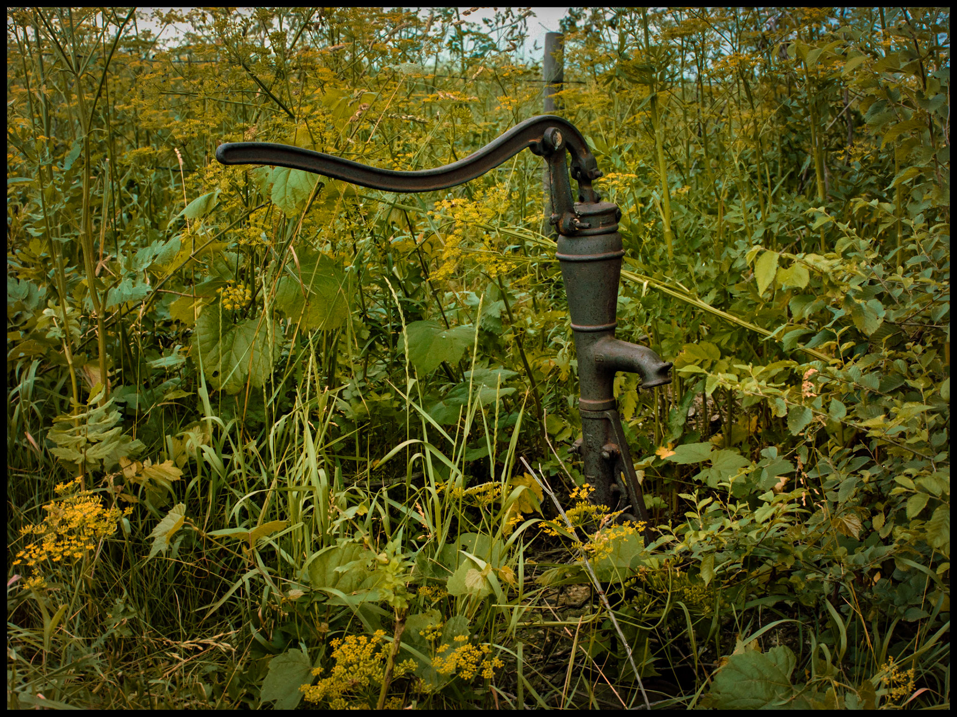 A rusty antique abandoned hand well pump in weeds next to a fence row. Near Bethel, Missouri, USA, 1981.