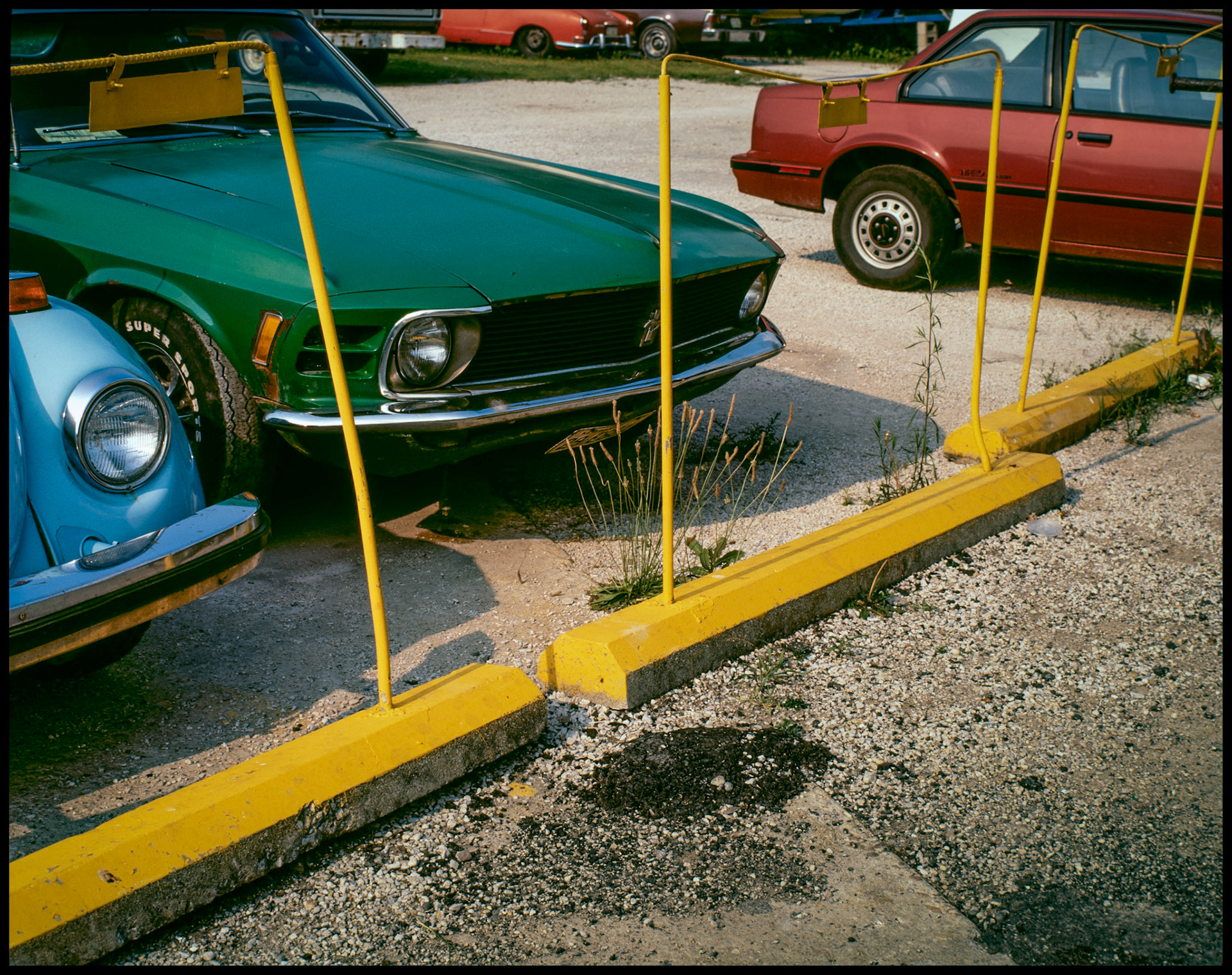 Detail of a classic Mustang, Volkswagen Beetle, and other various color cars parked in a parking lot next to yellow parking curbs. Bloomington, Indiana 1986