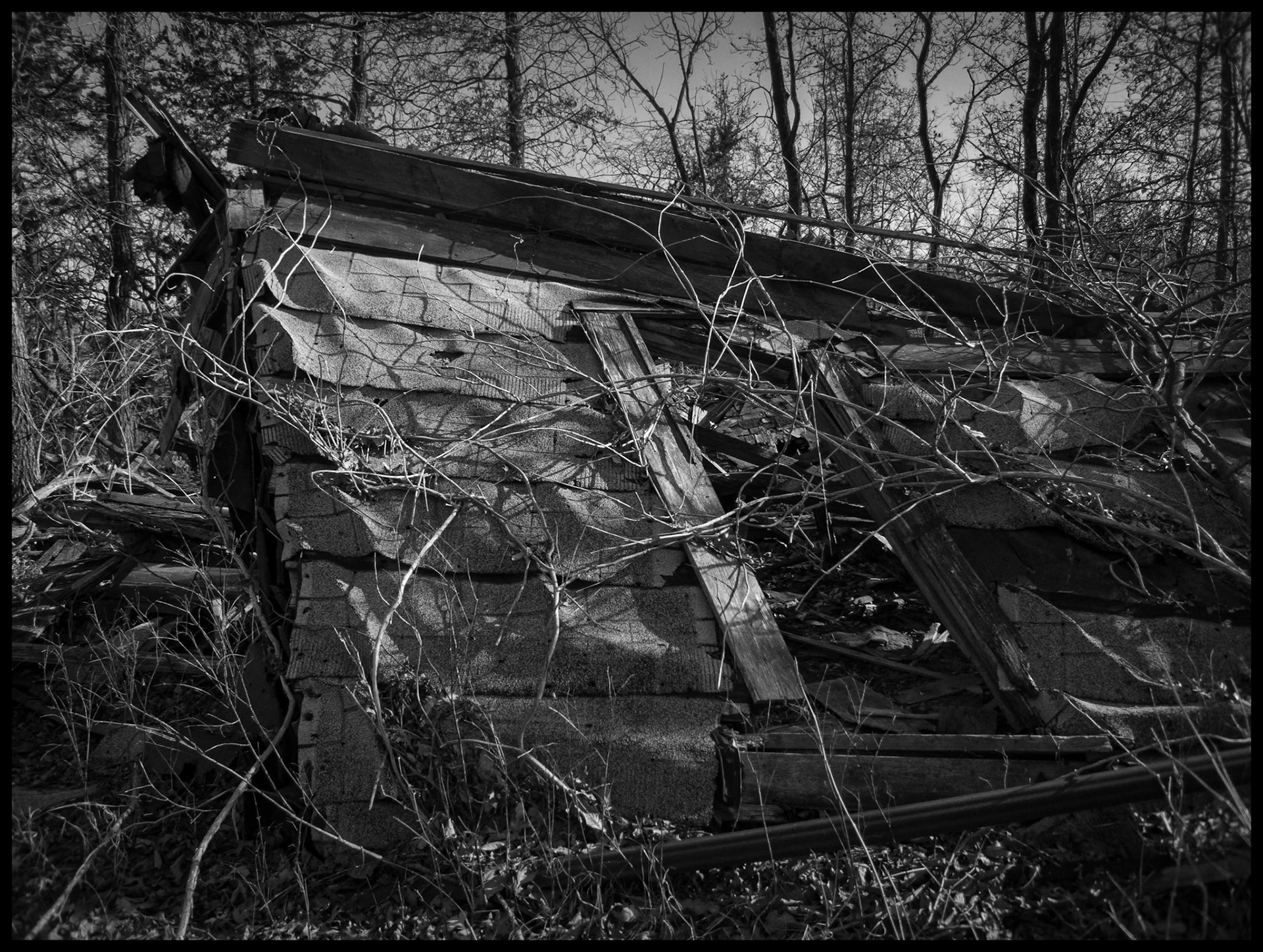 The last leaning wall of an abandoned house covered with branches with its shingle walls spotlit by a beam of afternoon sunlight. Near Green Grove, Missouri. 2009