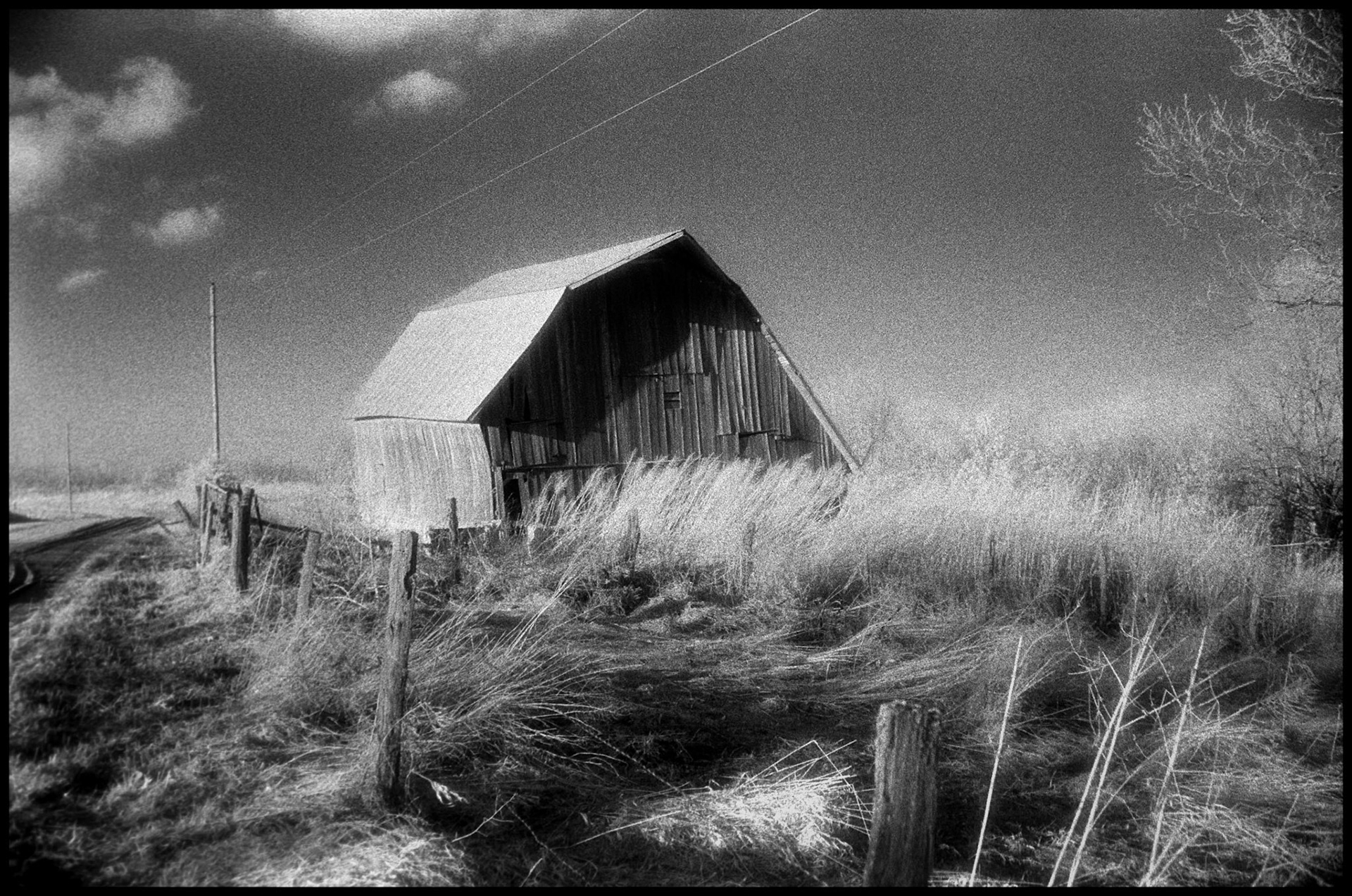 A vintage grainy black and white infrared view of a rural Missouri barn surrounded by tall grass laid over by the wind in a sweeping motion. Near Kirksville, Missouri 1979