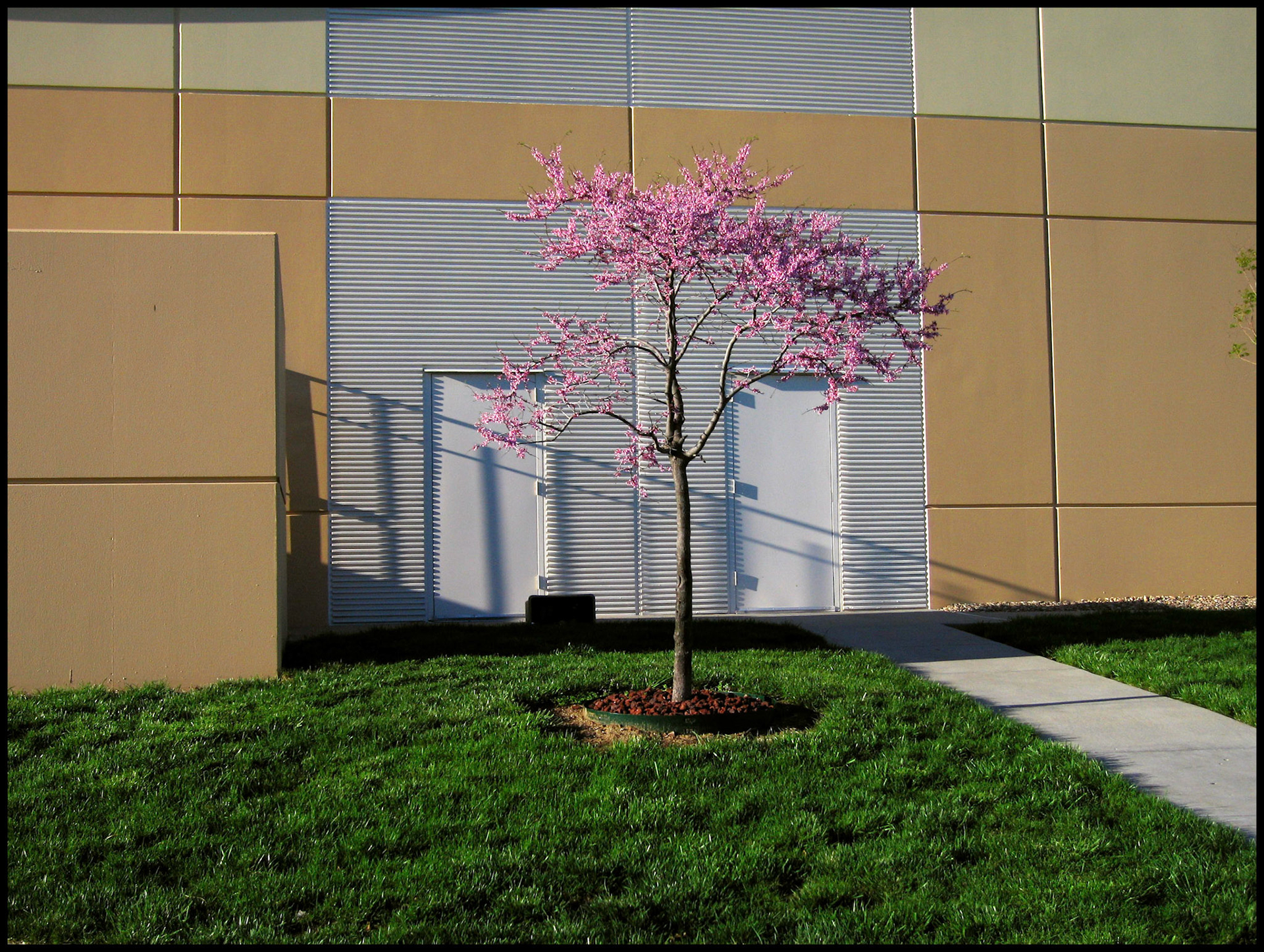 KCI Expo Center 02, Kansas City, Missouri 2007