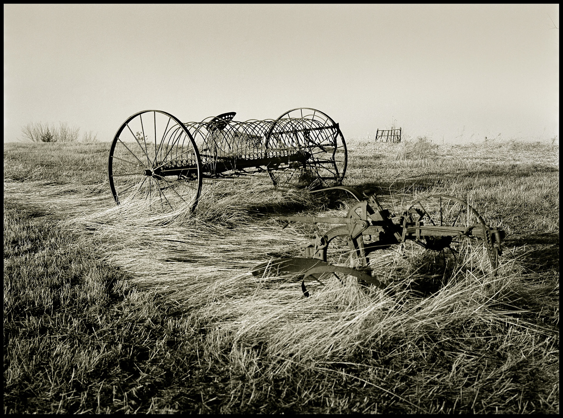 A sepia toned black and white image of an antique horse drawn Sulky type hay rake sitting in a field of fallen tall grass. Near Kirksville, Missouri USA, 1979