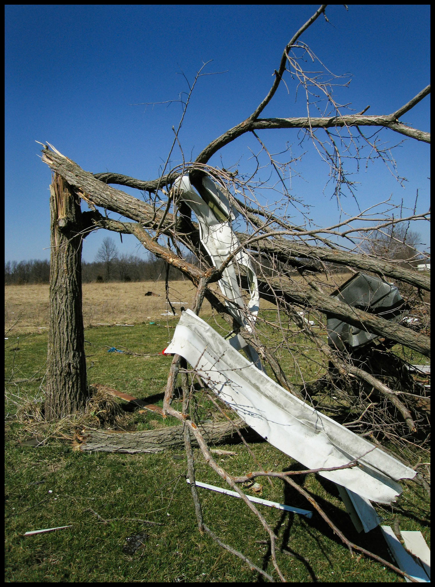Mangled building siding wrapped around the limbs of a fallen tree and other mangled debri strewn about the day after a tornado struck. Near Renick, Missouri 2006