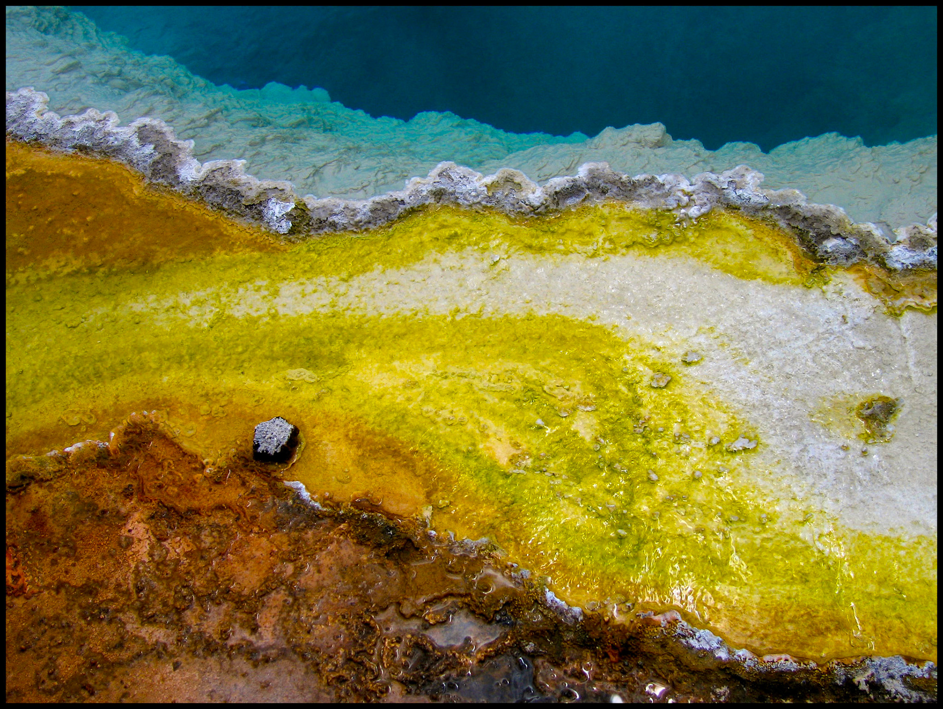 An abstract minimal detail view of the colorful algae, microbial mat, and coral like formations at the edge of of Black Pool at West Thumb Geyser Basin in Yellowstone National Park, Wyoming, 2005