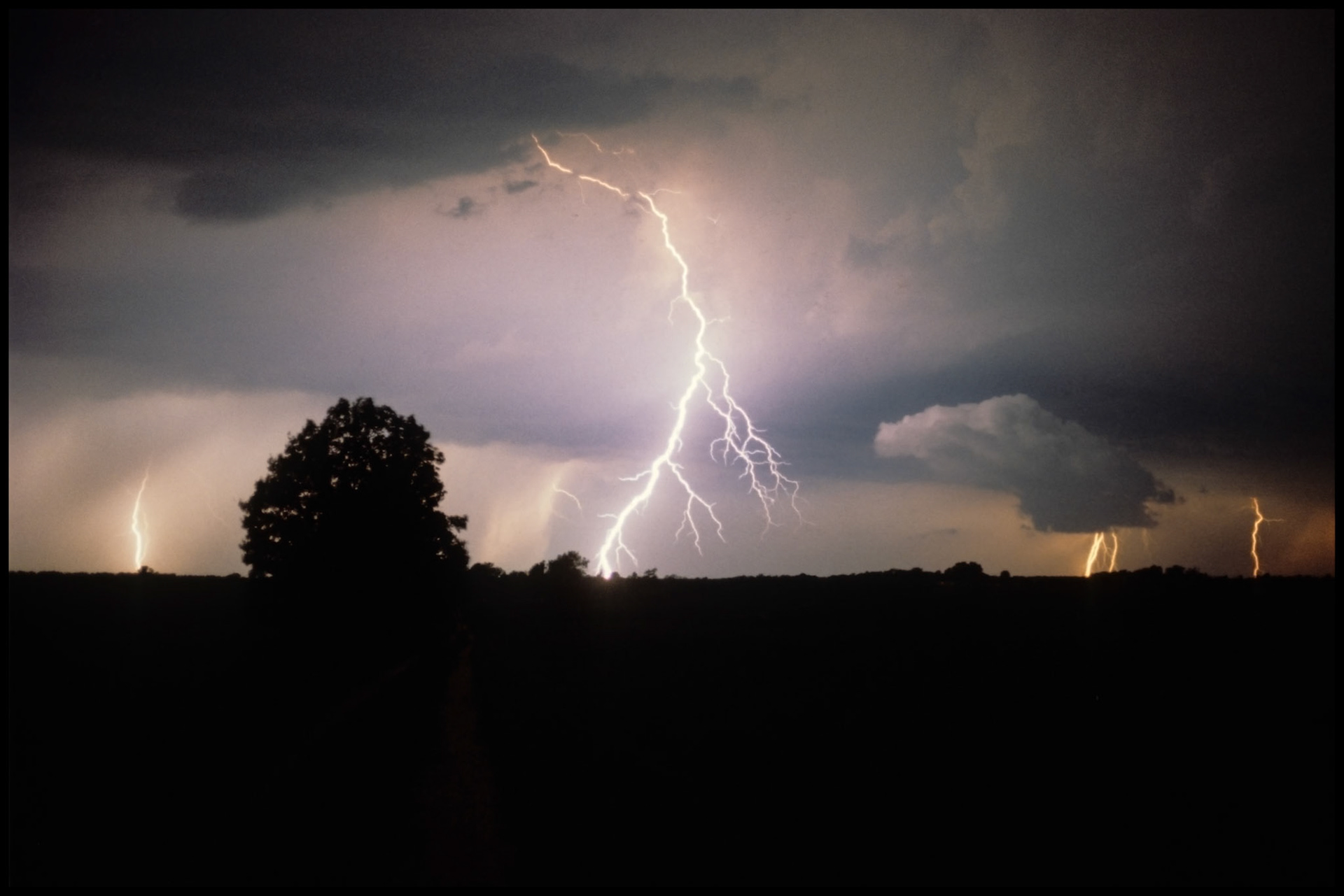 Multiple lightning strikes during the heat wave of 1980 using time exposure with a silhouetted tree on the horizon. Near Brashear, Missouri, 1980.