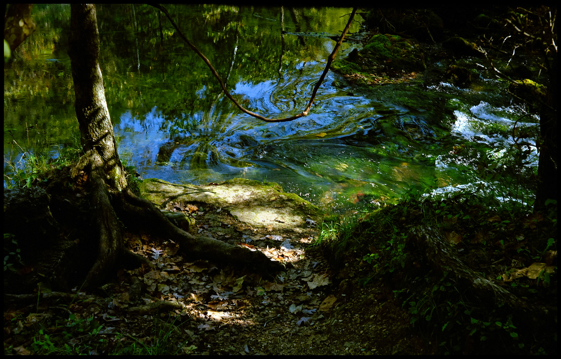 A streamside view of the reflection of trees and sky on the crystal clear water, seeming to meld the solid items being reflected, framed by a tree, it's roots, and a hanging vine in the shadows of the foreground. Alley Spring Branch at Alley Spring near Eminence, Missouri,1997.
