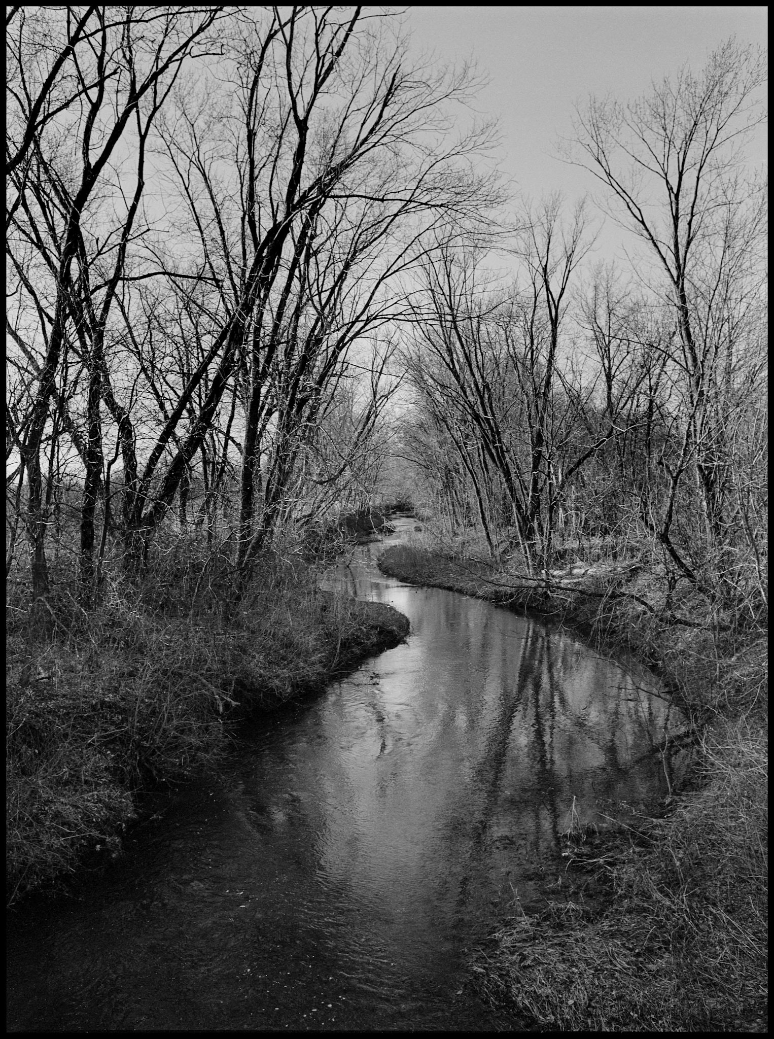 A black and white landscape of a small winding river during winter with one of the bare branched trees symmetrically reflected in the water. Near Youngstown, Missouri USA 1978.