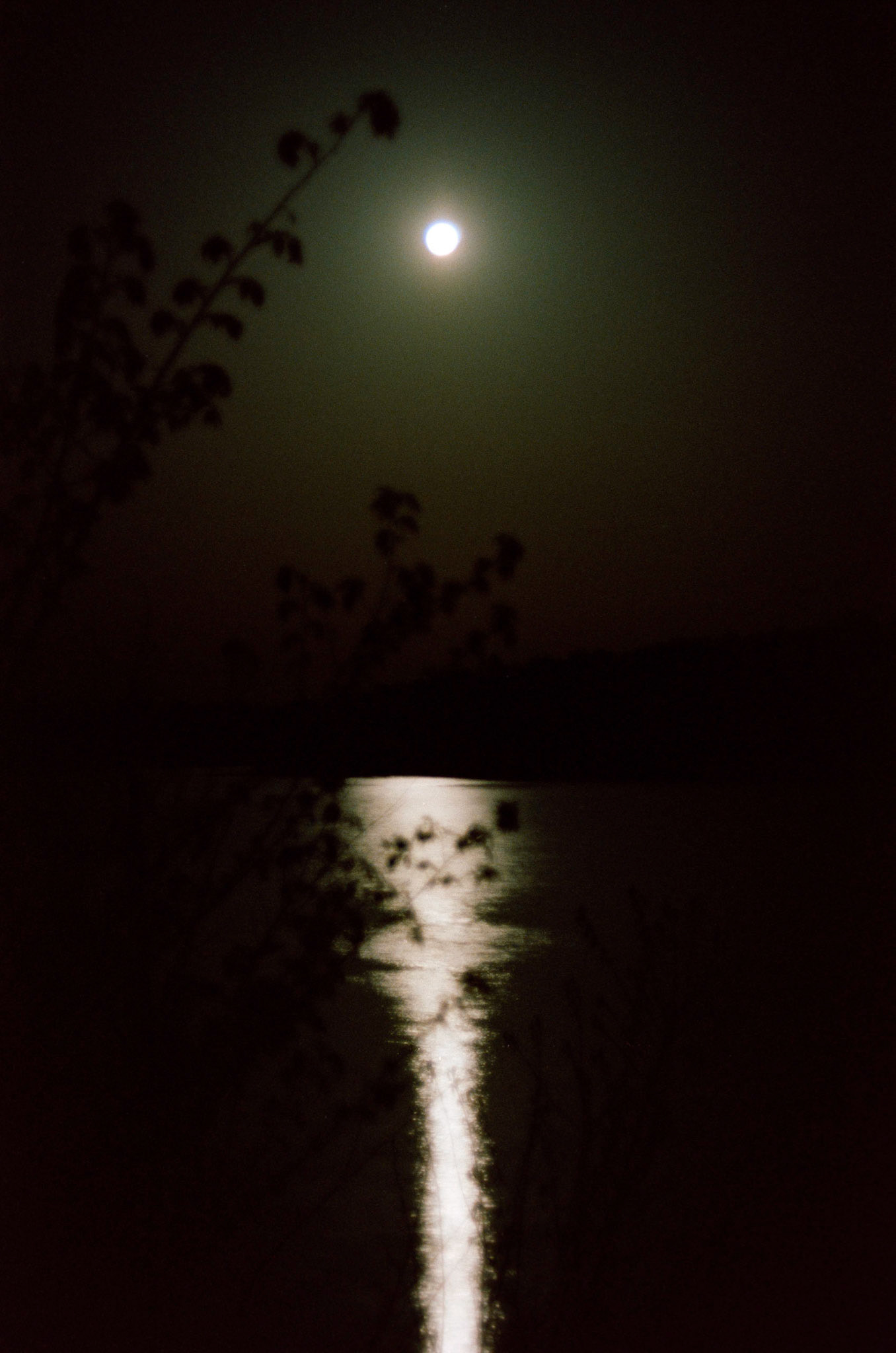 A hazy dark mysterious shot of the summer moon being reflected on a lake with silouhetted branches of a bush in the foreground. Forest Lake at Thousand Hills State Park near Kirksville, Missouri. 1982