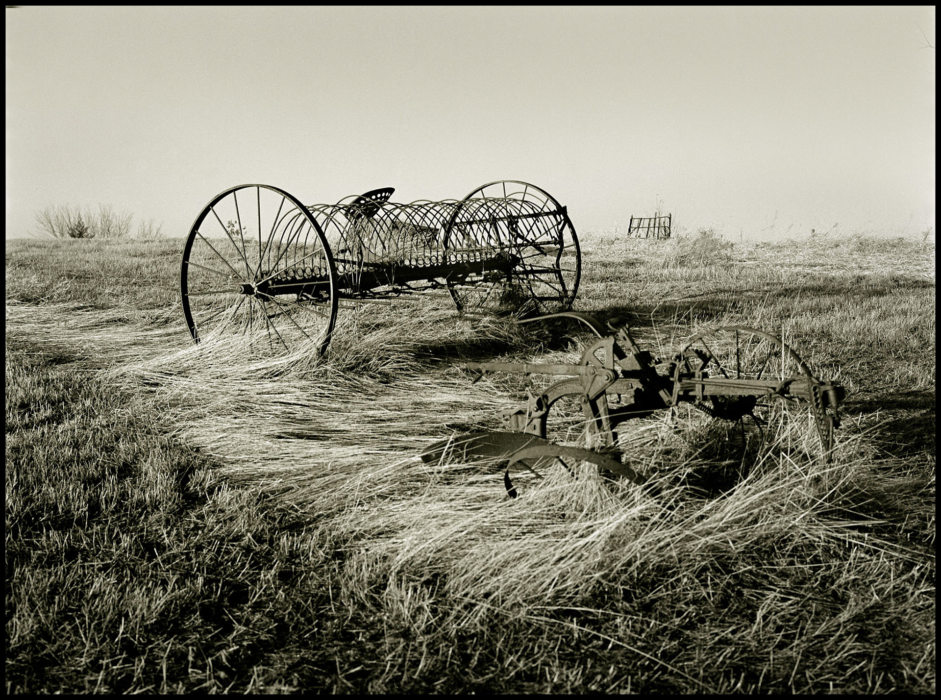 A sepia toned black and white image of an antique horse drawn Sulky type hay rake sitting in a field of fallen tall grass. Near Kirksville, Missouri USA, 1979