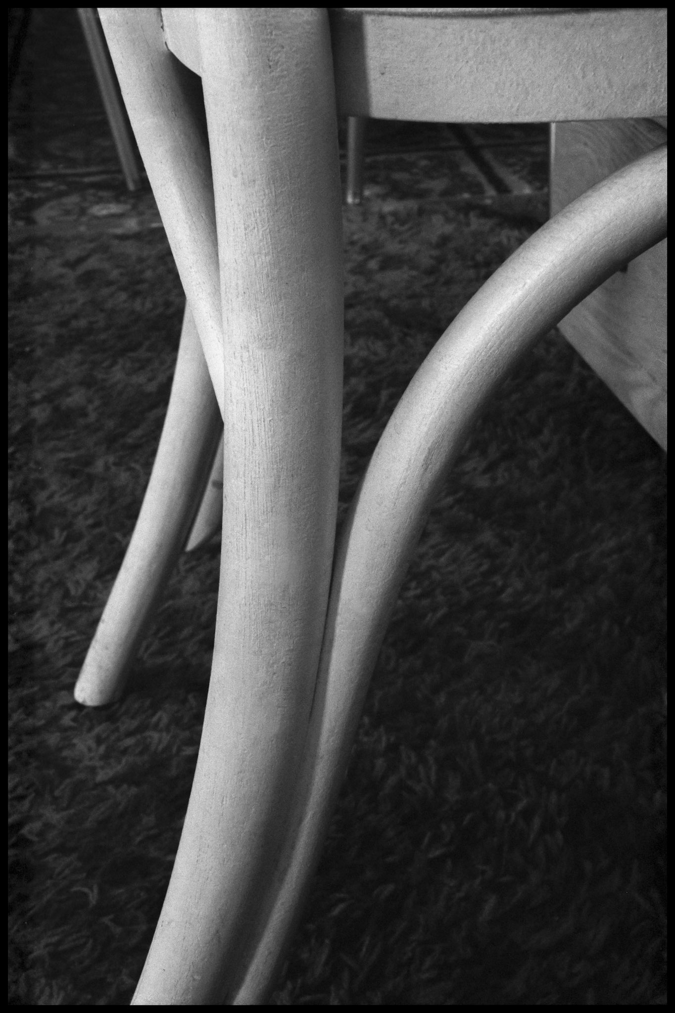A fine art style abstract geometric detail still life of the graceful curves and subtle gradation of the light on the legs of a white wooden chair in black and white.