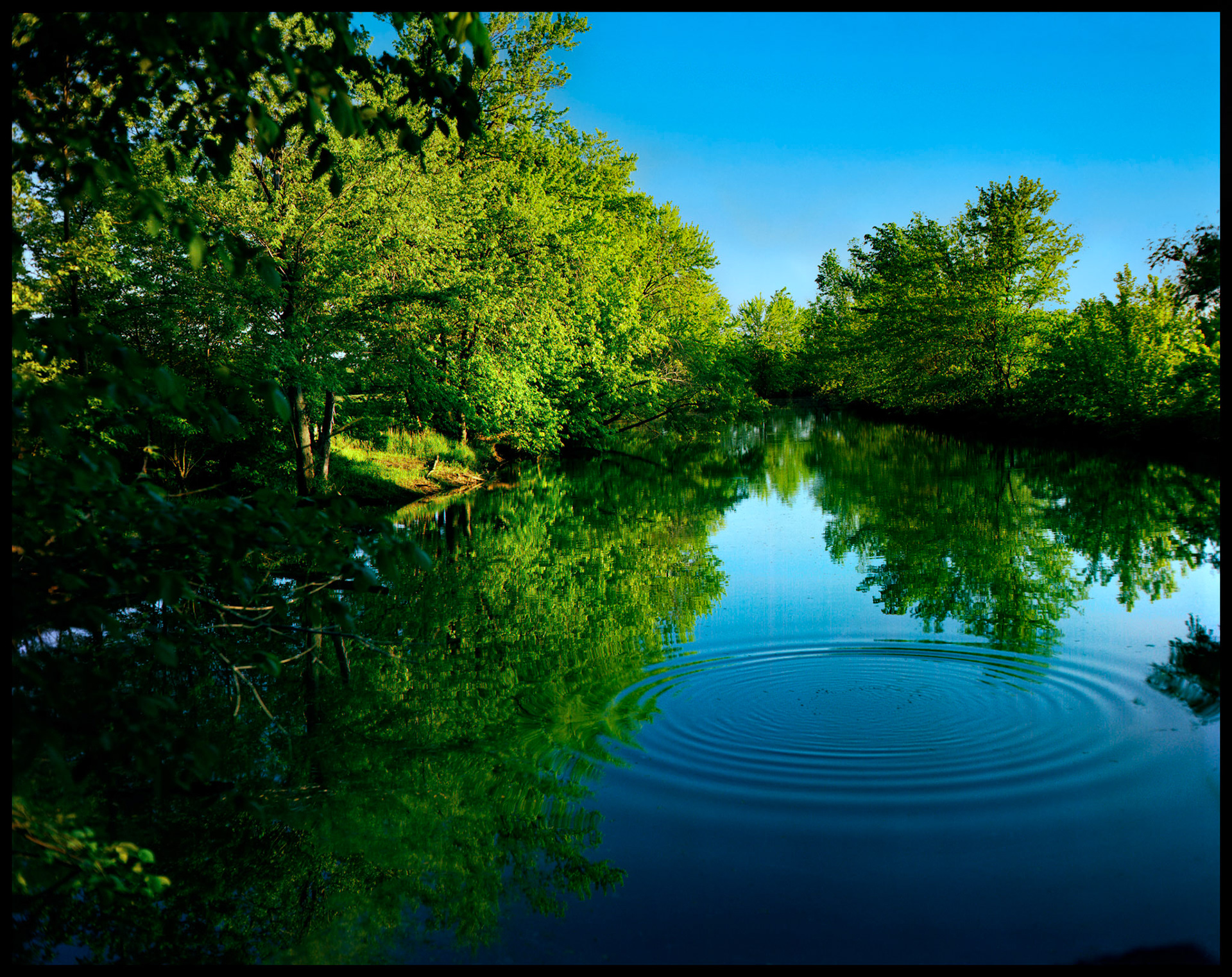 An idyllic tranquil scene of the reflection of brilliant green trees and a deep blue sky in a slow moving river with a perfectly smooth surface except for concentric circular waves created by something falling in the water. Near Green Grove Missouri 1984