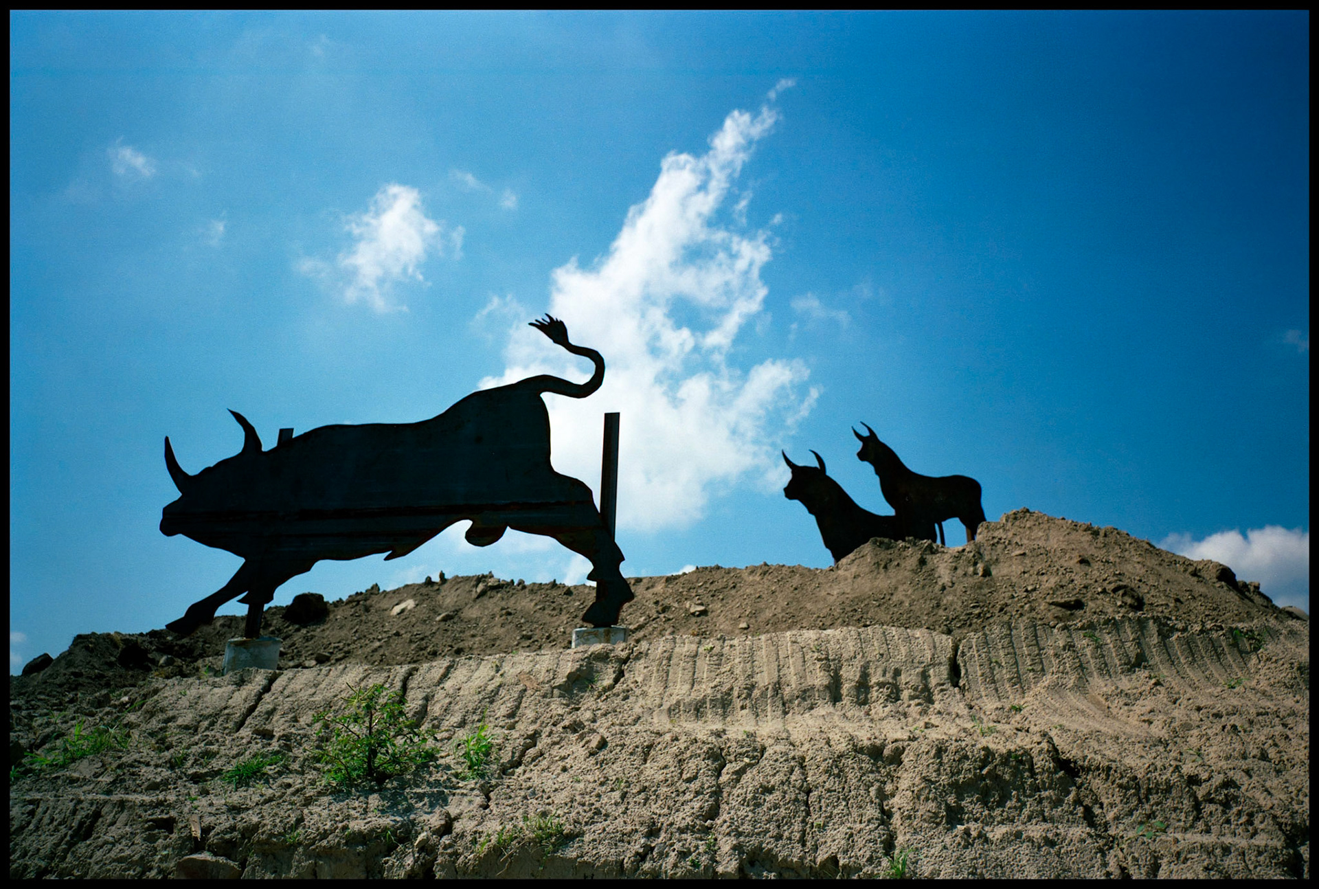 Three steel sculptural cutouts of cattle in progress for the American Royal in Kansas City, MO 1993