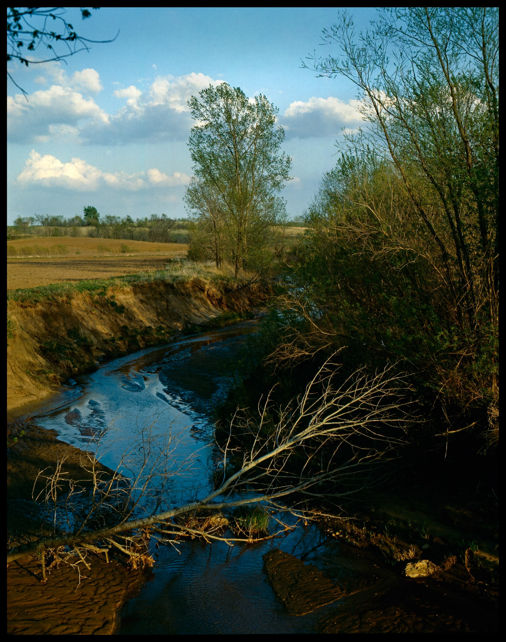 The blue sky reflected in a meandering stream with a fallen tree in the foreground  and several trees along it's bank bathed in the warm late afternoon Spring light. Near Queen City, Missouri USA, 1985