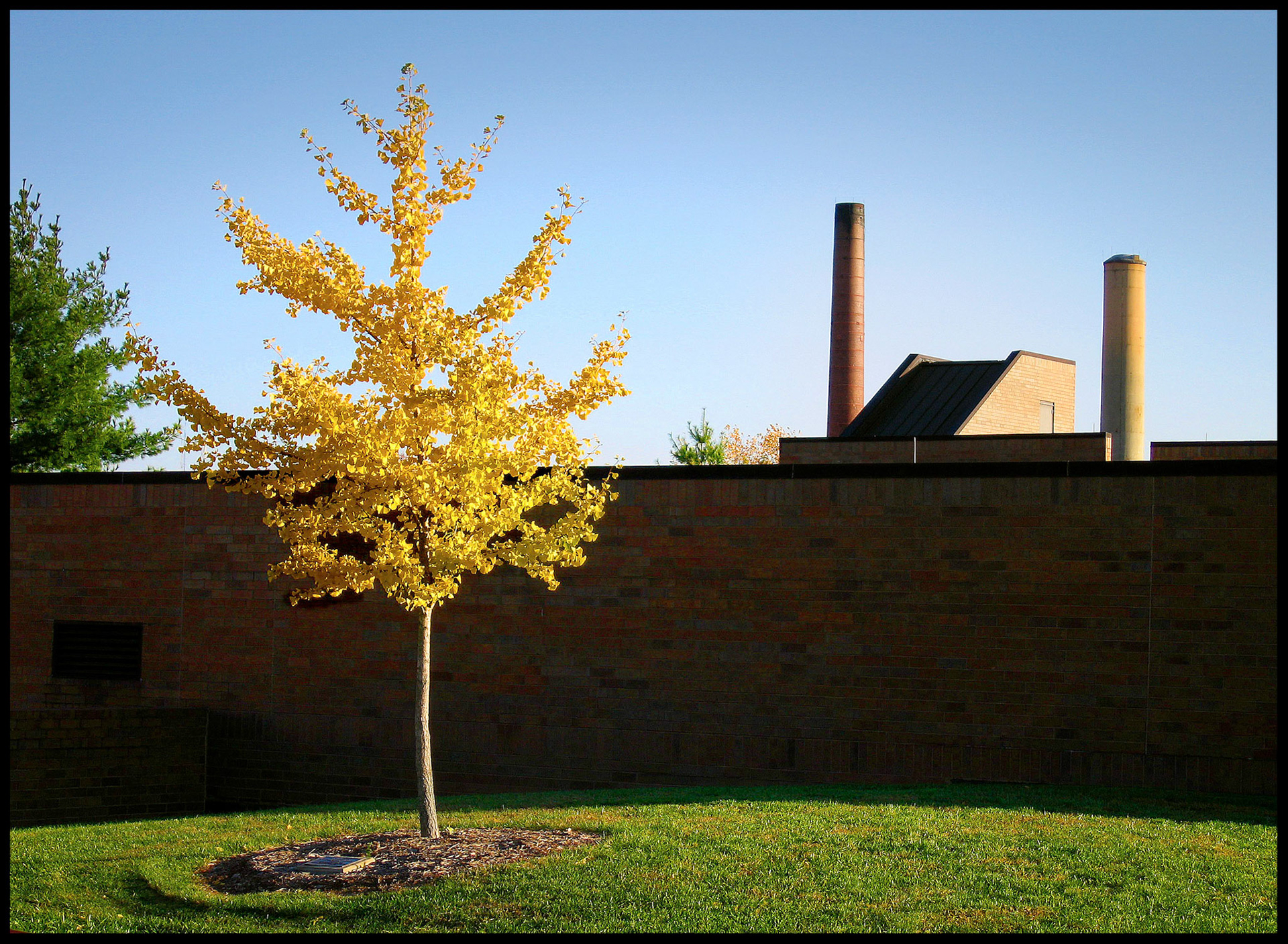 Missouri University of Science and Technology campus, Rolla Missouri 2006