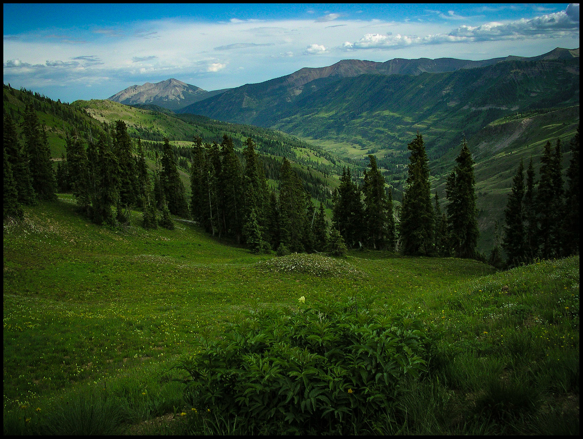 View from Paradise Divide in the Colorado Rocky Mountains looking down the valley toward the surrounding mountains with pine trees and a moutain meadow filled with wildflowers in the foreground. Near Gothic, Colorado USA 2004