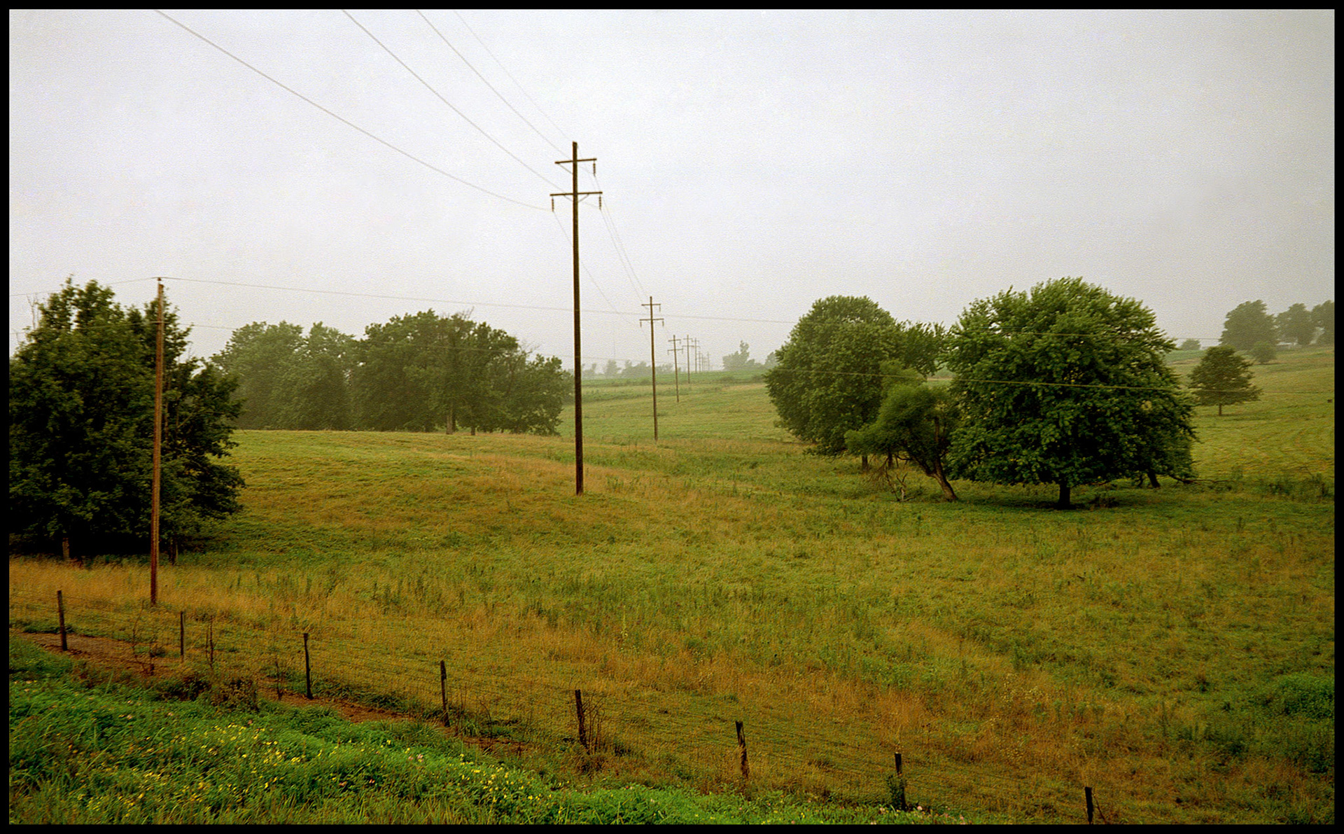 A roadside scene of two different height power lines crossing in a green pasture on a misty day. Near Macon, Missouri USA, 1990