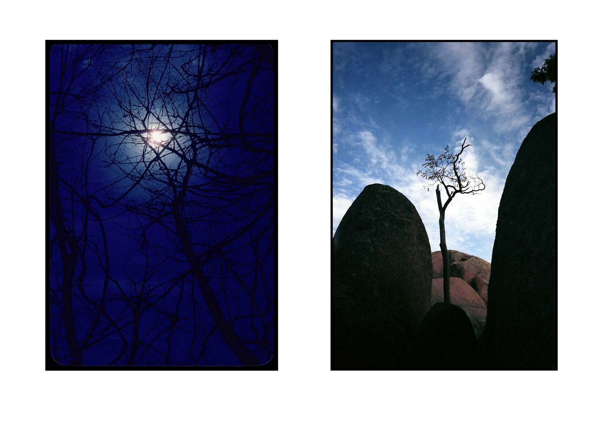 Symbiosis. A diptych of two images. On the left, the sun beaming down, piercing the canopy of trees, giving warmth and life. On the right, a struggling solitary tree pushing it's way up through the boulders, seemingly reaching for the nourishment of the sun to  cling to it's fragile life.